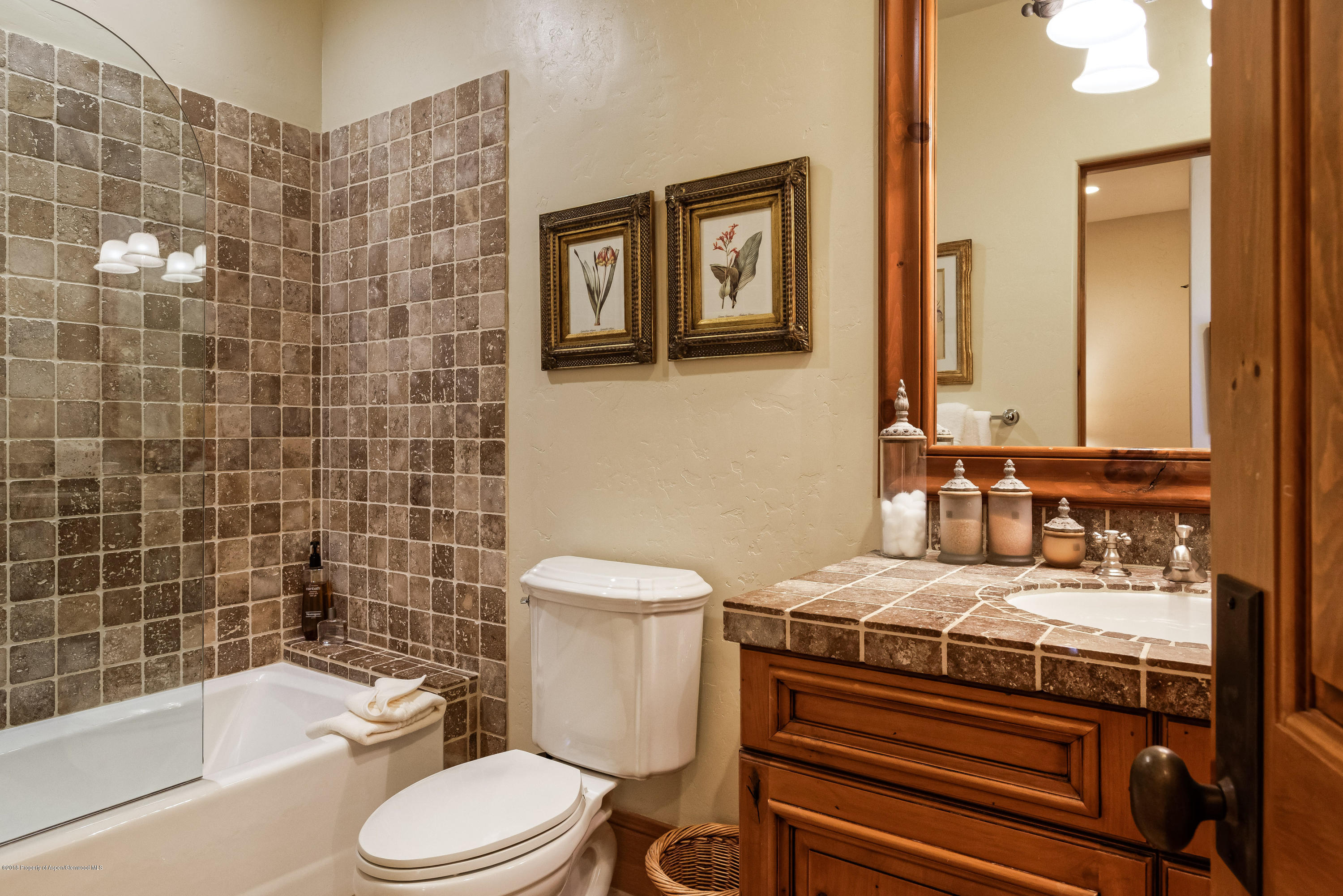 38 Saddleback Lane Snowmass Village CO 81615