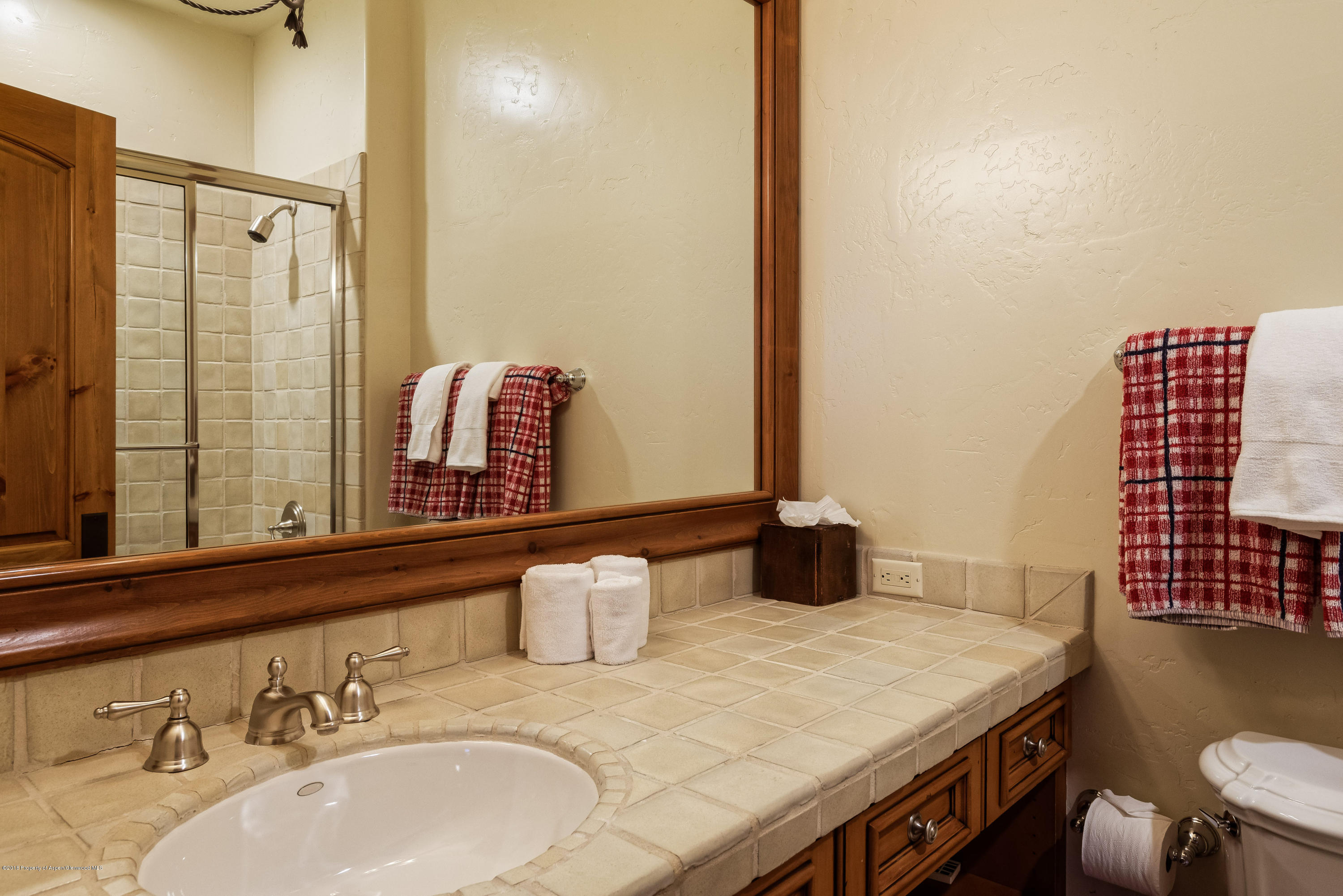 38 Saddleback Lane Snowmass Village CO 81615