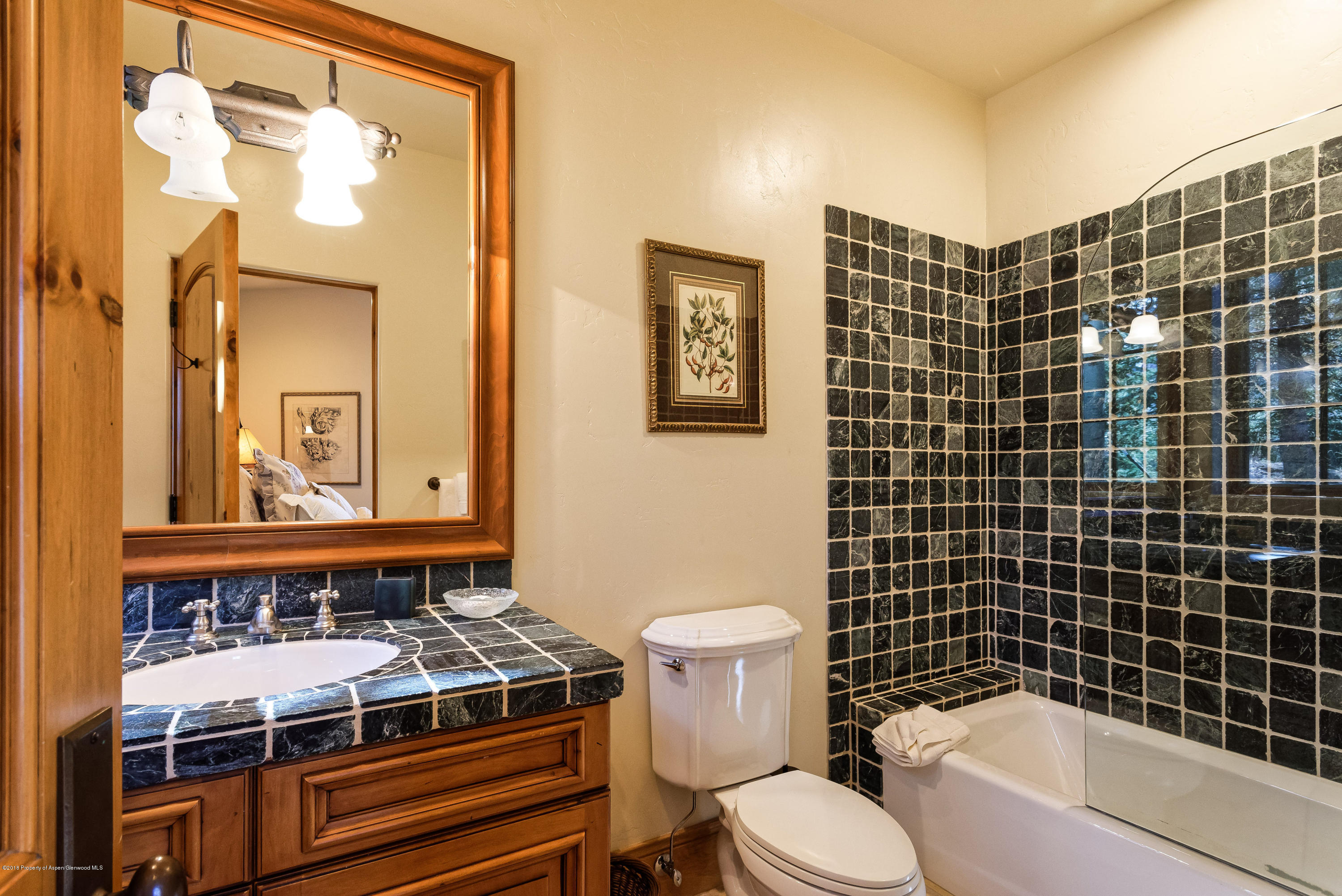 38 Saddleback Lane Snowmass Village CO 81615