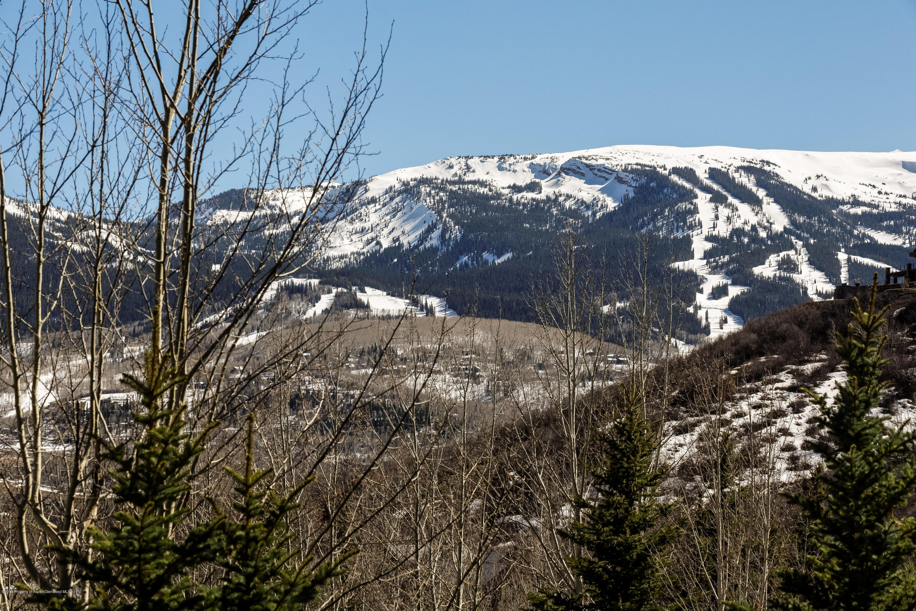 38 Saddleback Lane Snowmass Village CO 81615