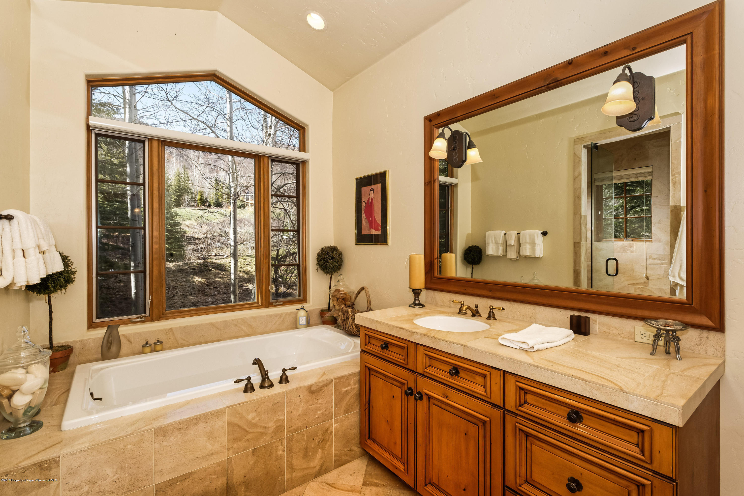 38 Saddleback Lane Snowmass Village CO 81615