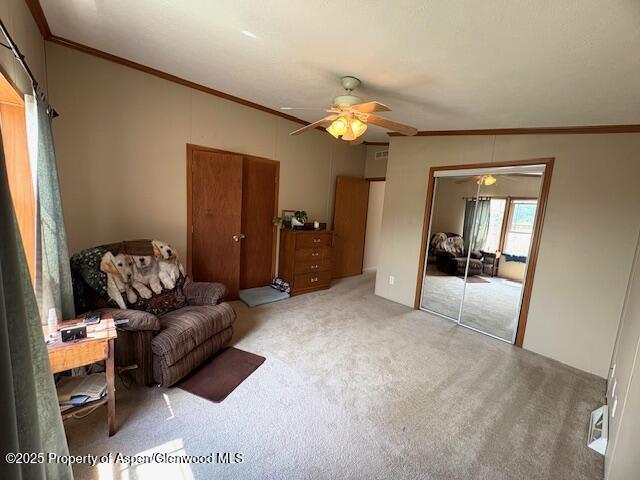 382 Mineral Springs Circle Parachute CO 81635