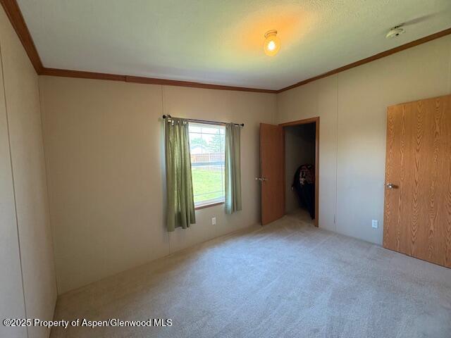 382 Mineral Springs Circle Parachute CO 81635