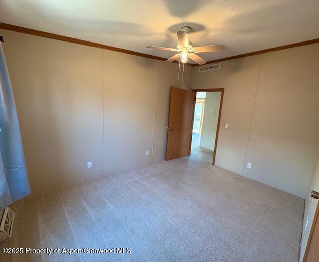 382 Mineral Springs Circle Parachute CO 81635