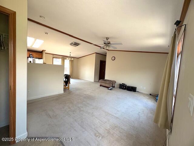 382 Mineral Springs Circle Parachute CO 81635