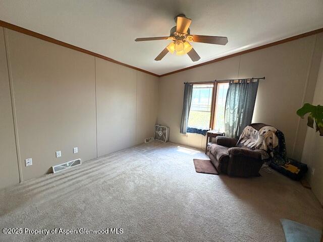 382 Mineral Springs Circle Parachute CO 81635