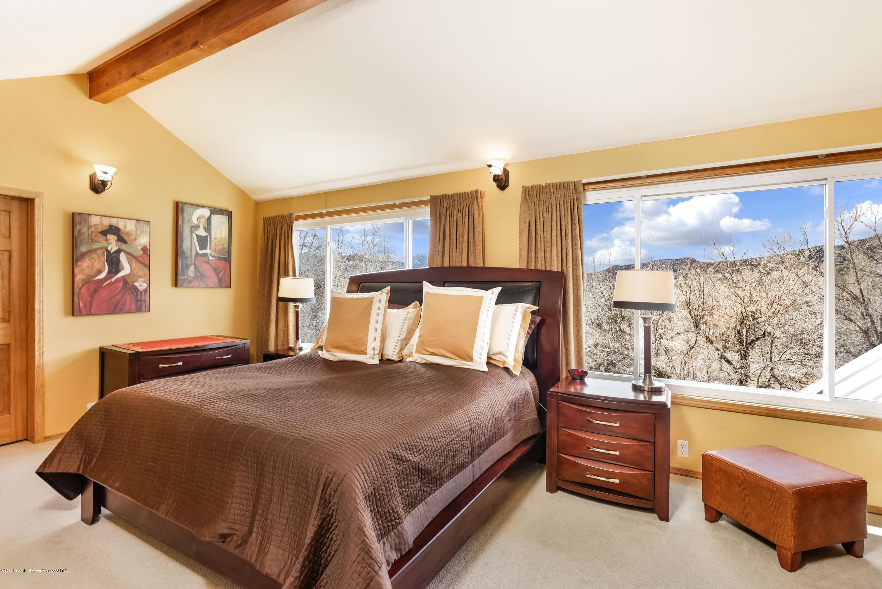 265 Columbine Court Basalt CO 81621