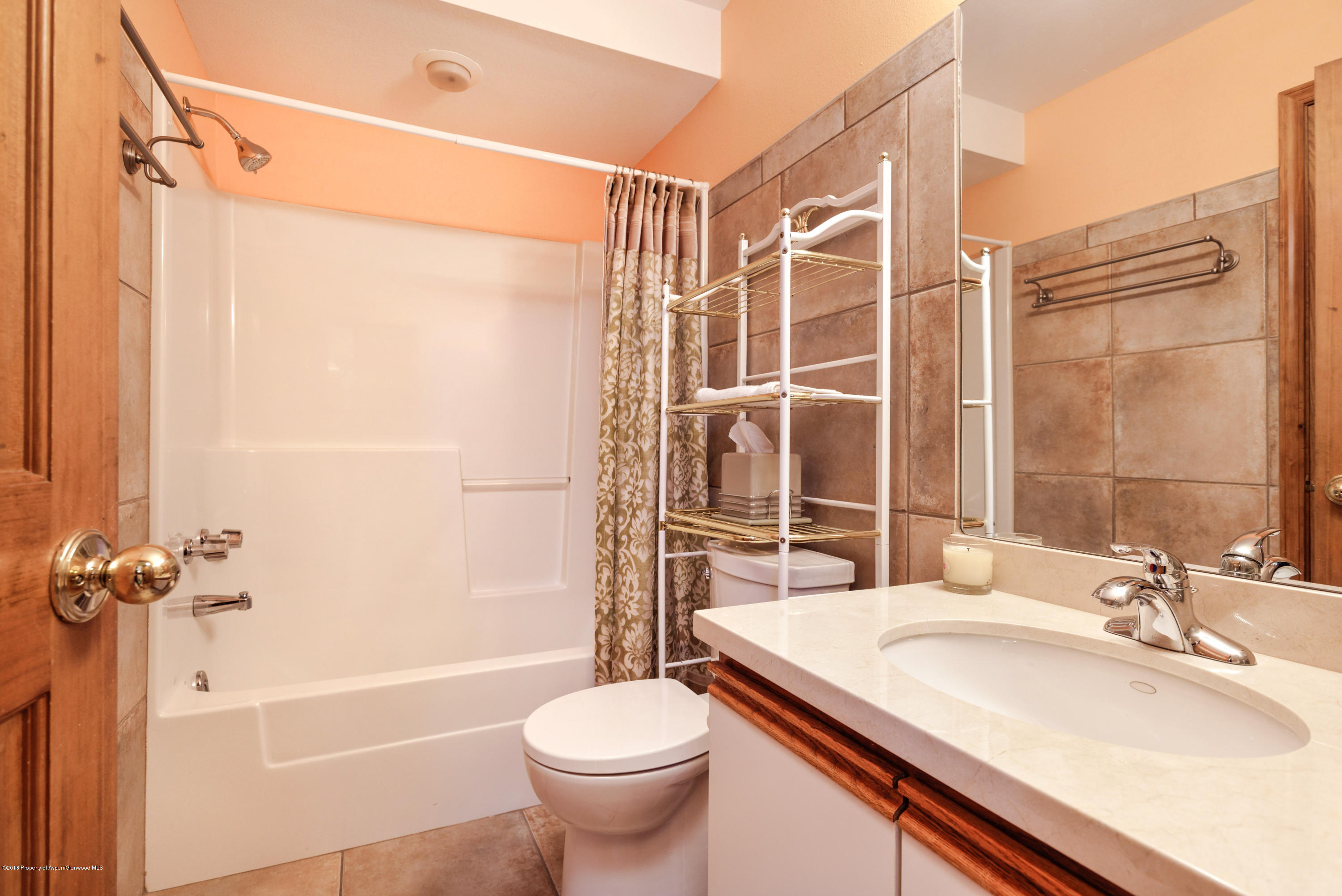 265 Columbine Court Basalt CO 81621