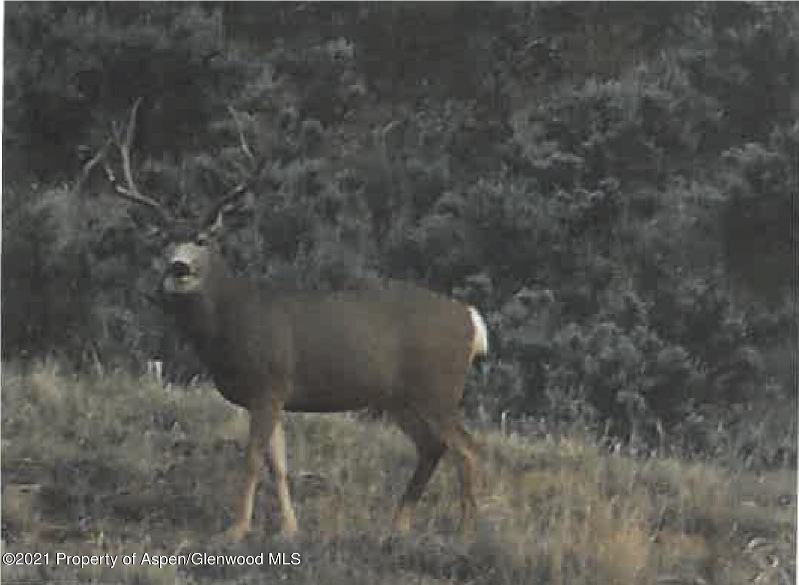 1600 Six Lazy K Road New Castle CO 81647