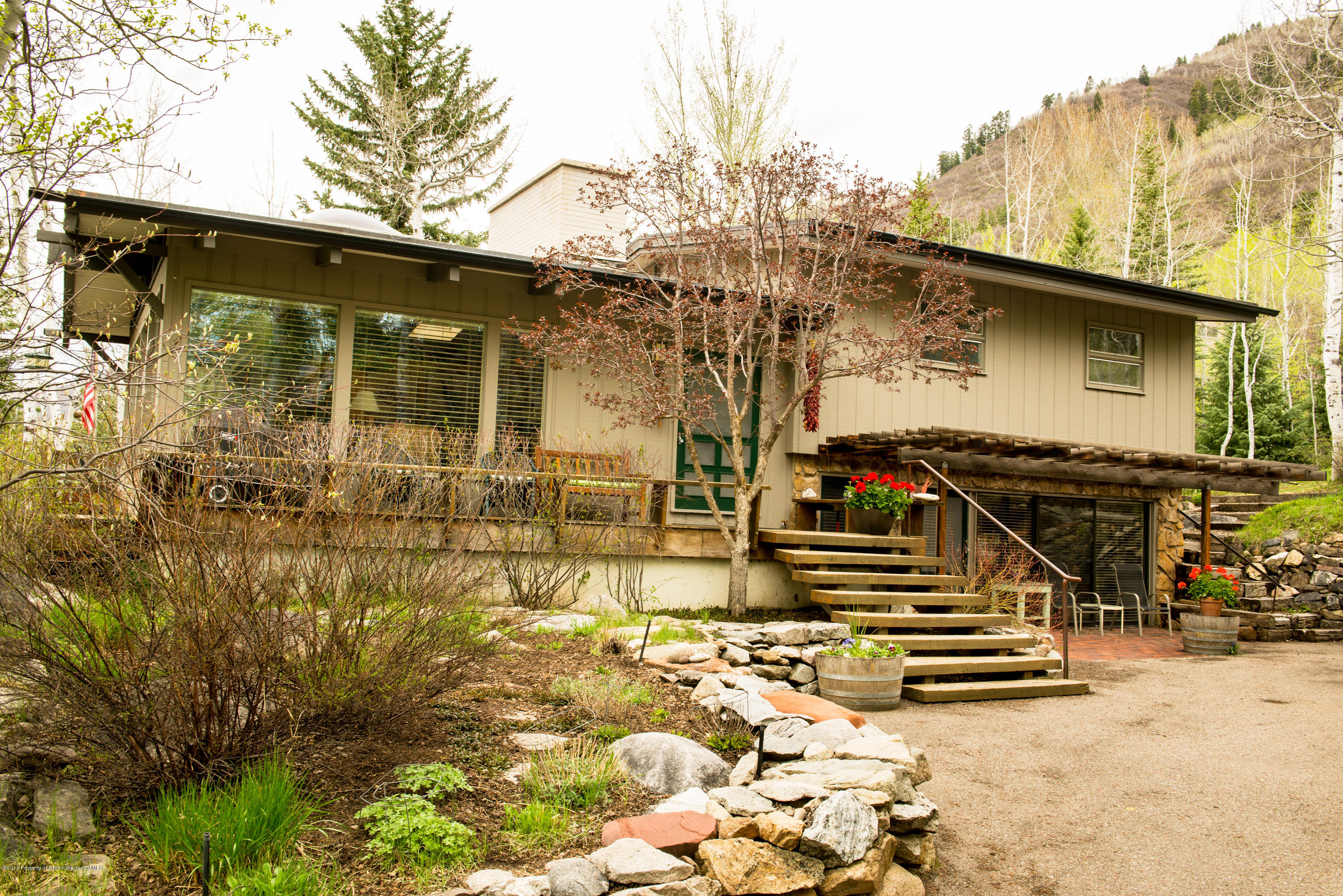 143 E Lupine Drive Aspen CO 81611