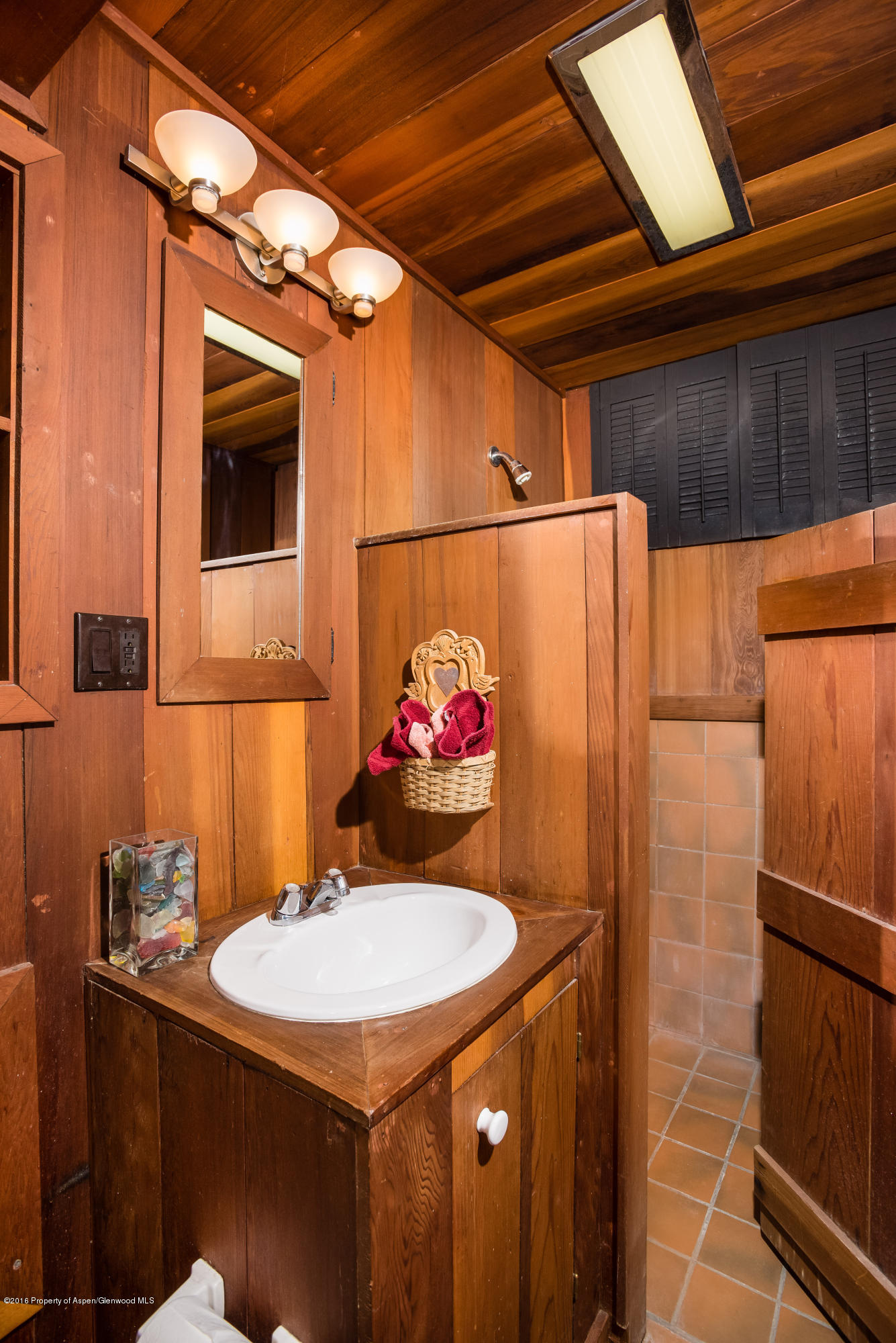 143 E Lupine Drive Aspen CO 81611