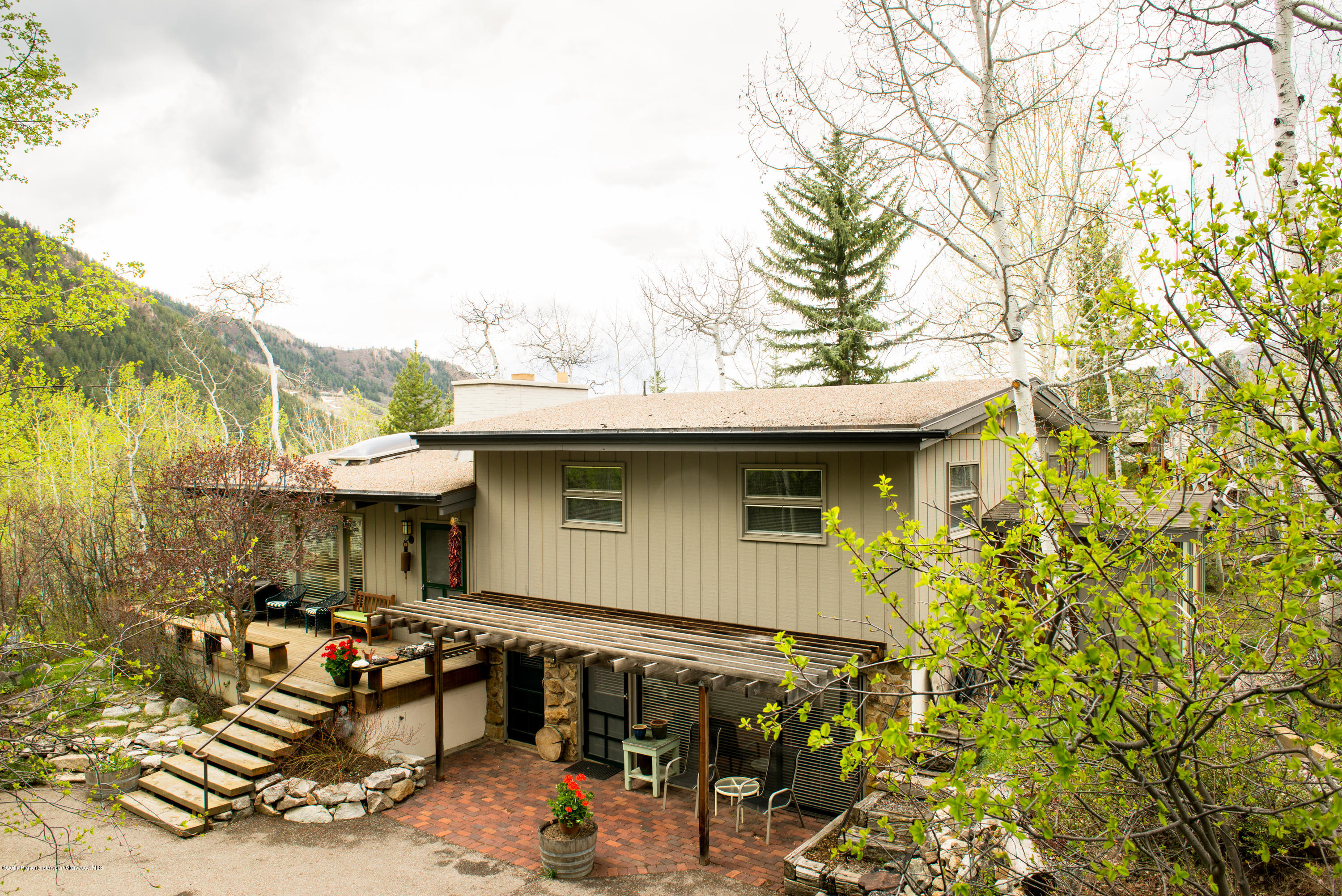 143 E Lupine Drive Aspen CO 81611