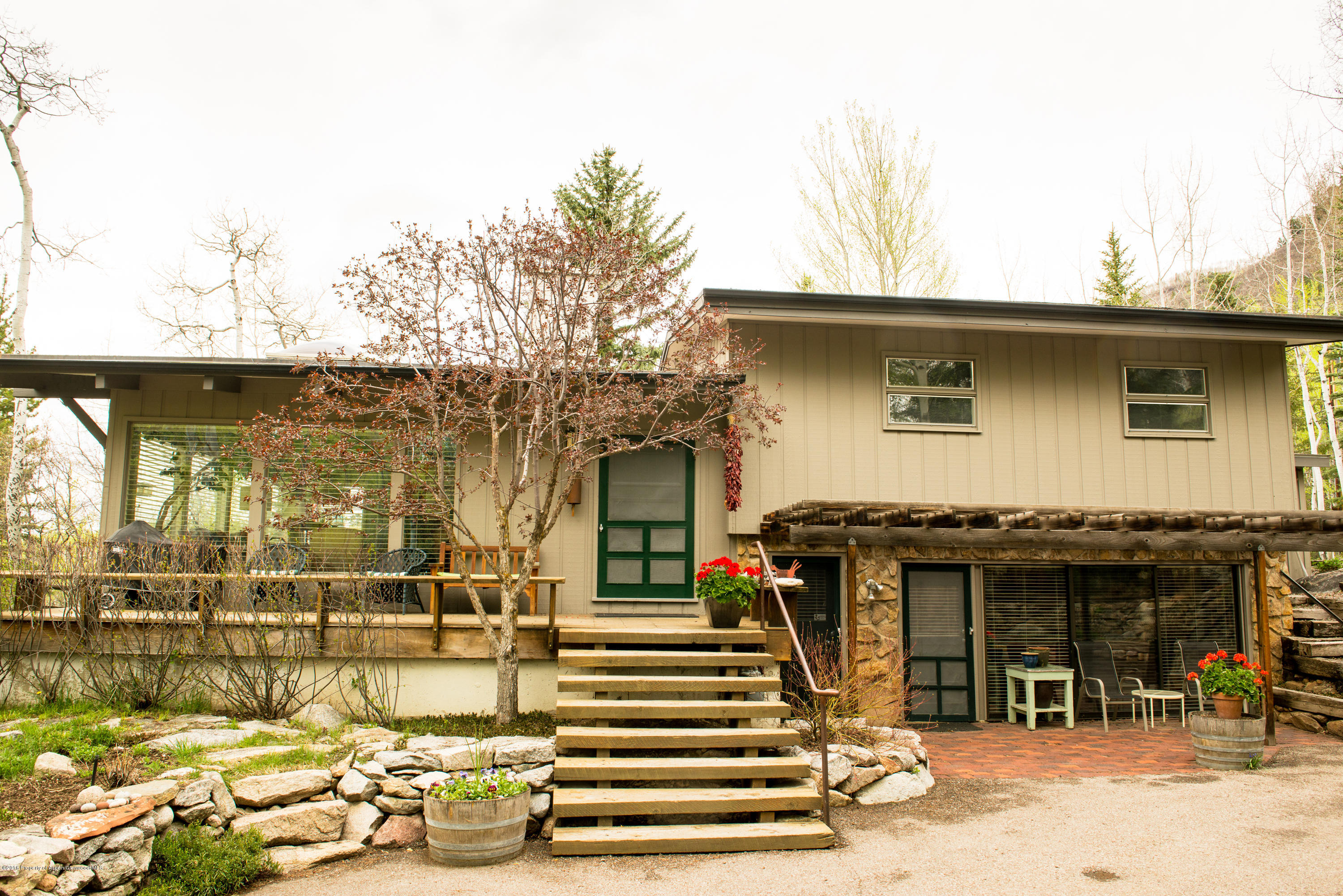 143 E Lupine Drive Aspen CO 81611