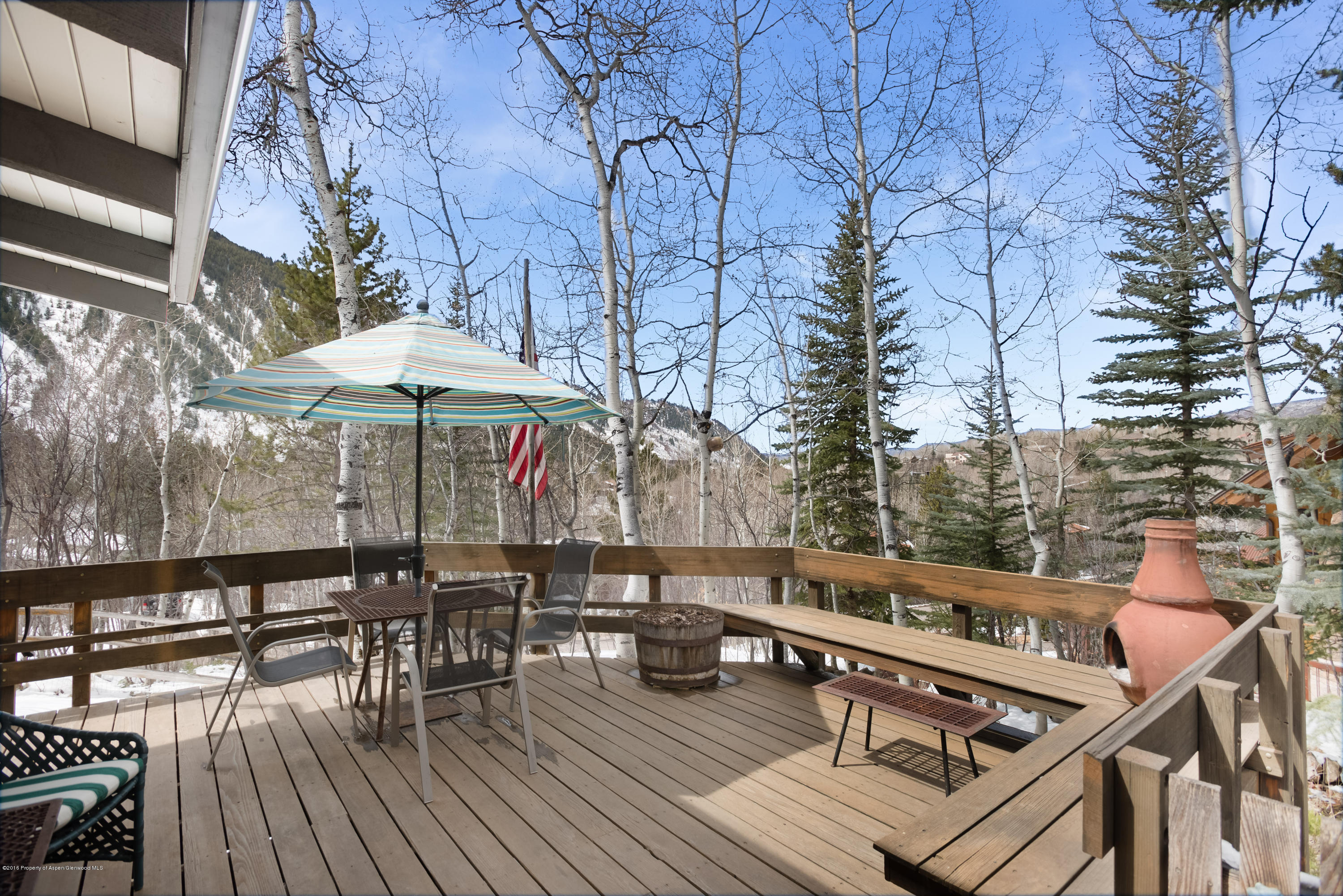 143 E Lupine Drive Aspen CO 81611