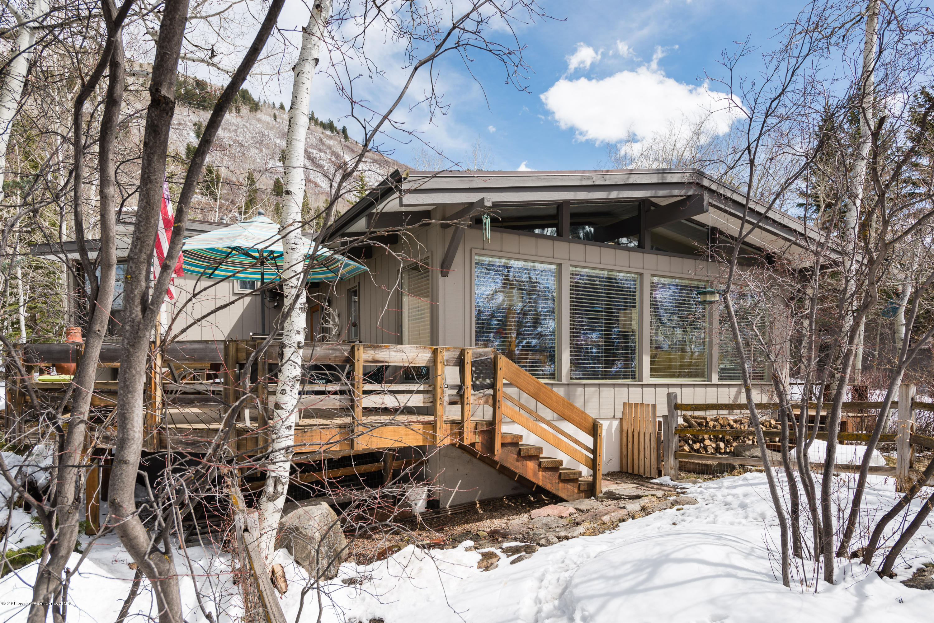 143 E Lupine Drive Aspen CO 81611