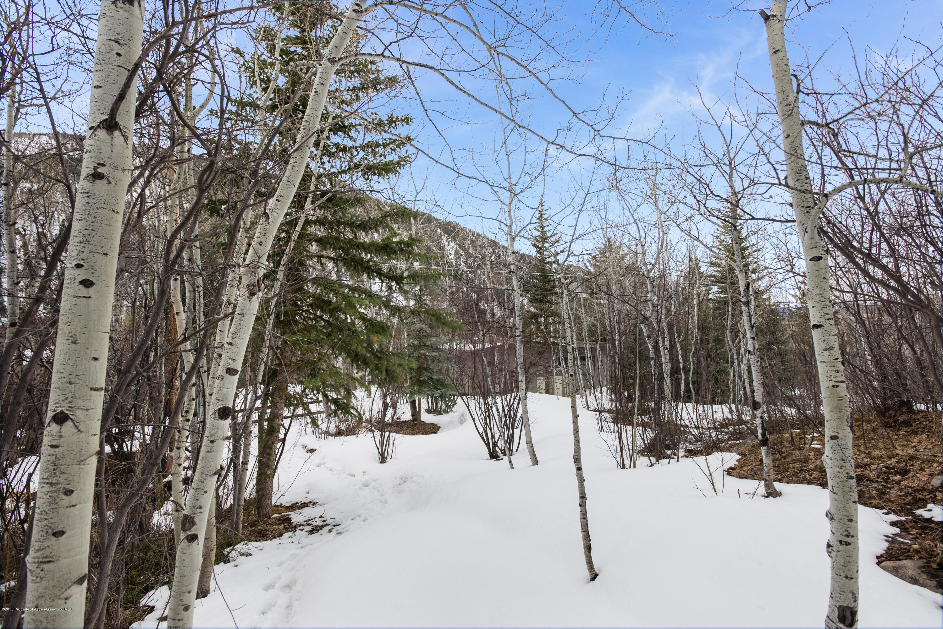 143 E Lupine Drive Aspen CO 81611