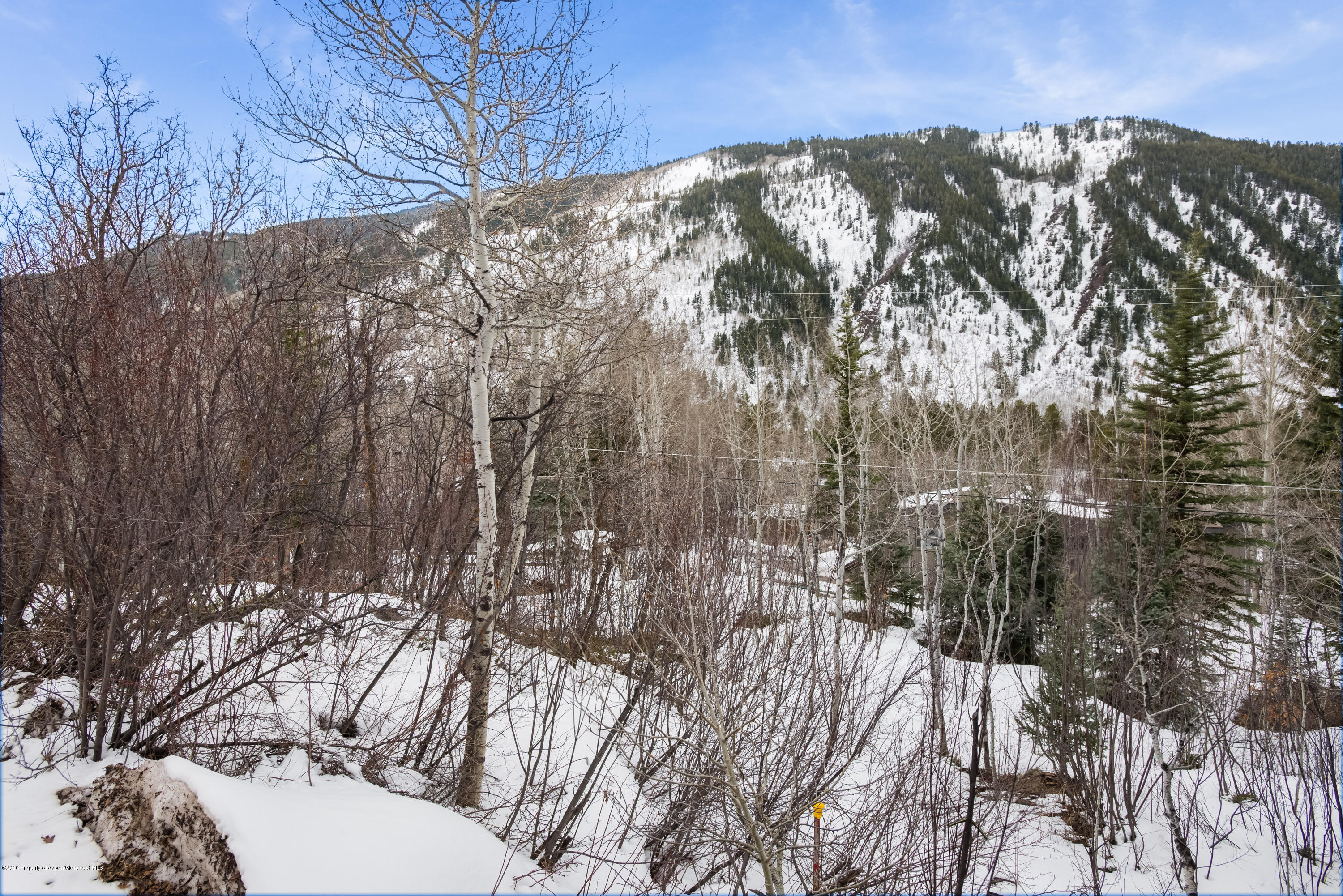 143 E Lupine Drive Aspen CO 81611