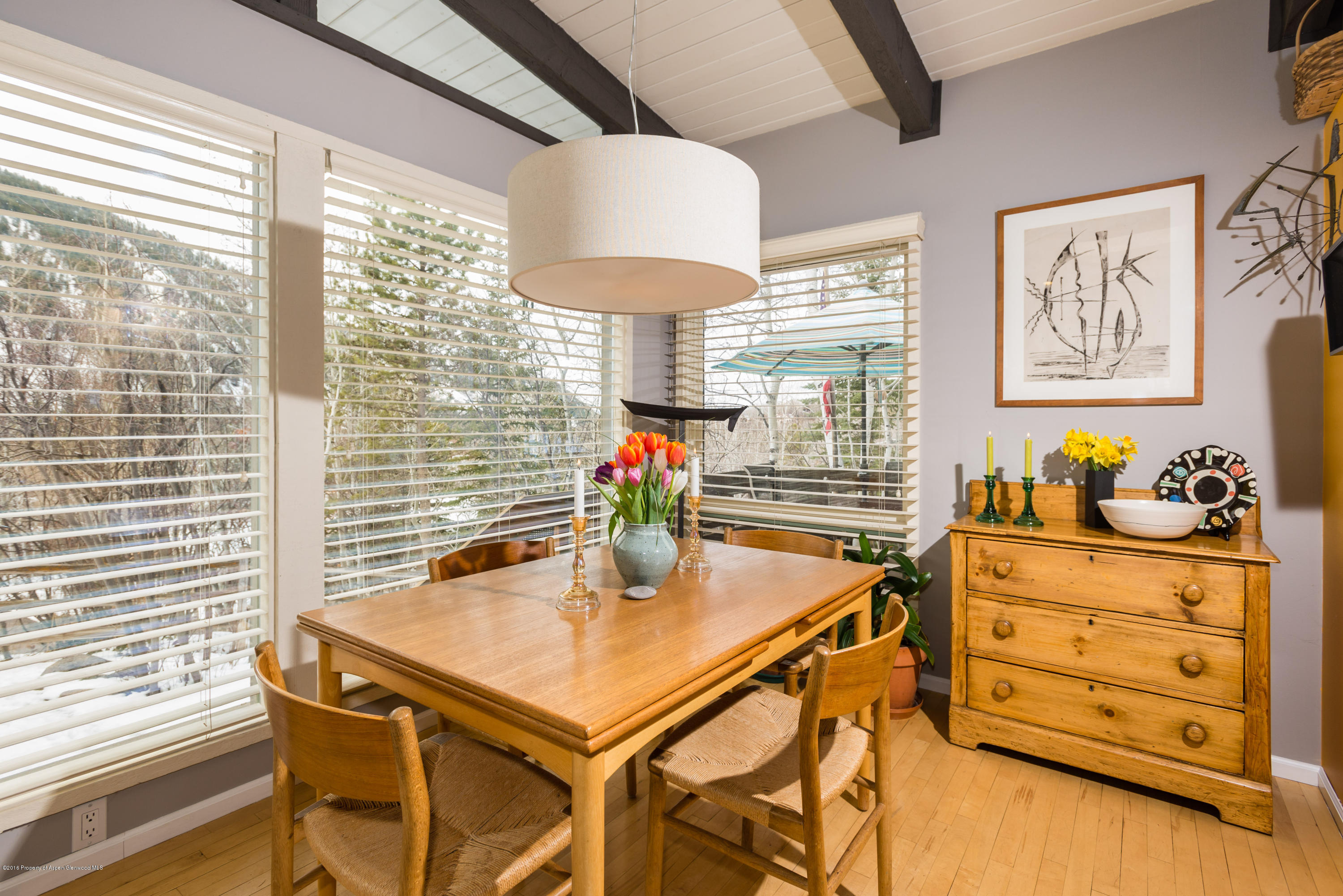 143 E Lupine Drive Aspen CO 81611