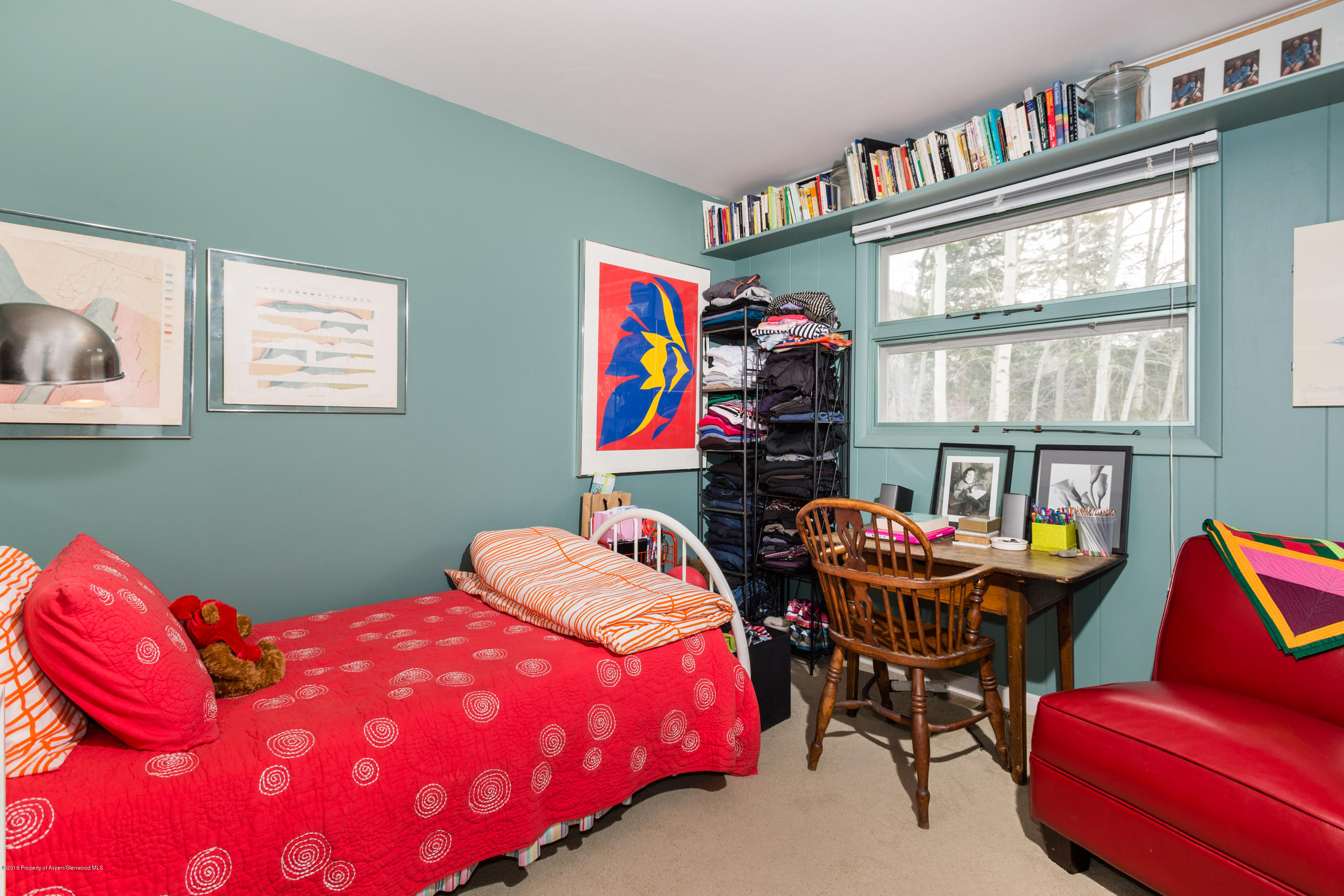 143 E Lupine Drive Aspen CO 81611