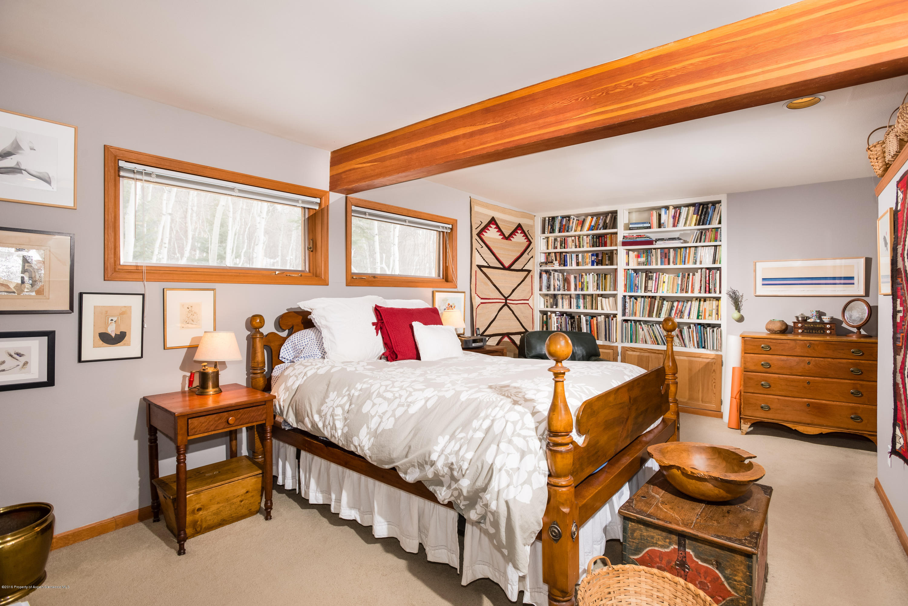 143 E Lupine Drive Aspen CO 81611