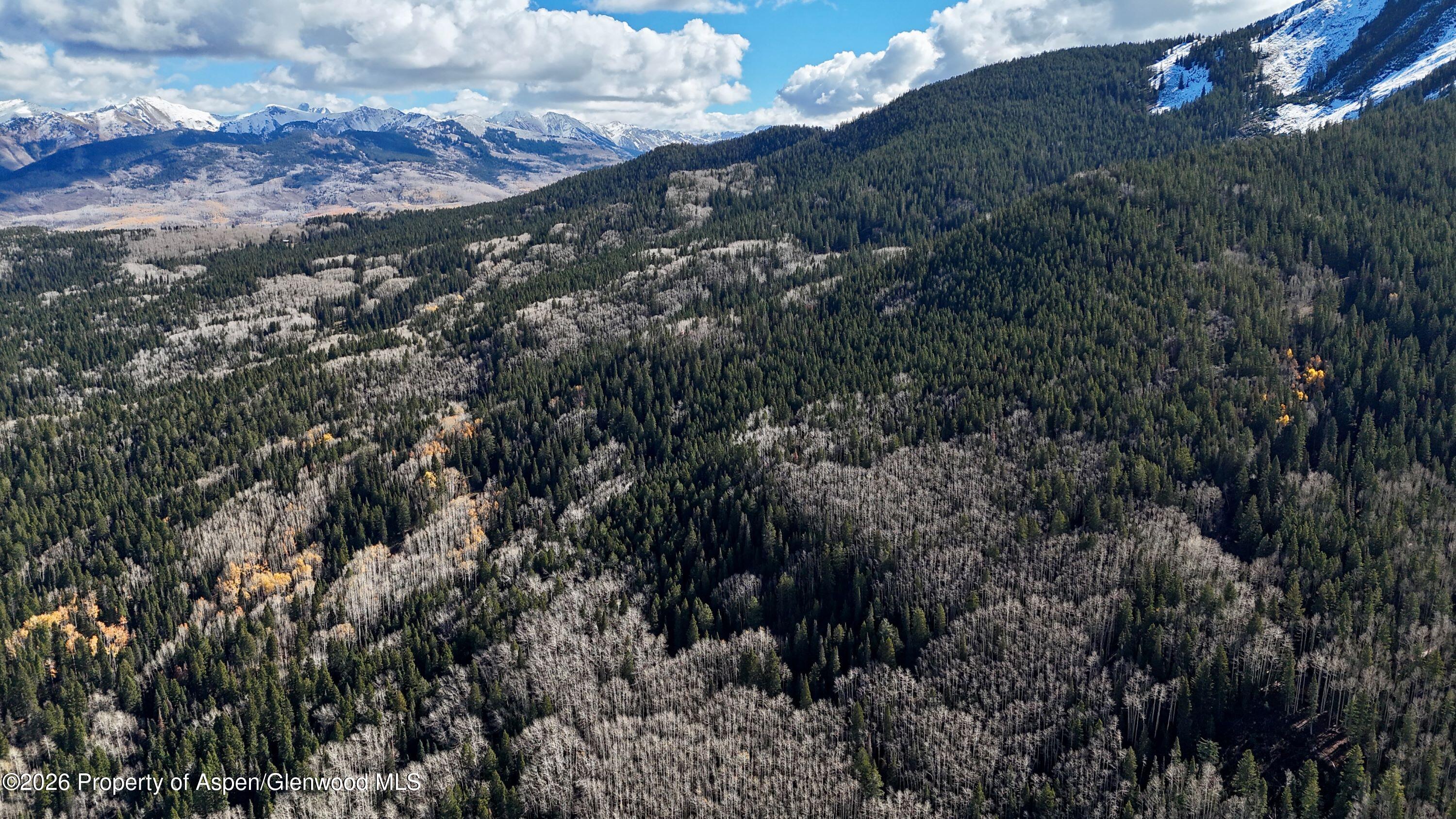 1901 Ragged Mountain Reserve Road Somerset CO 81434