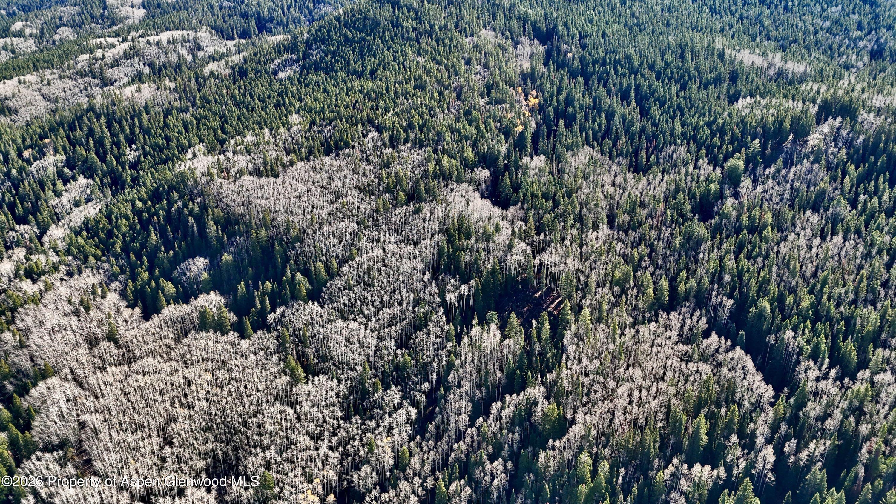 1901 Ragged Mountain Reserve Road Somerset CO 81434