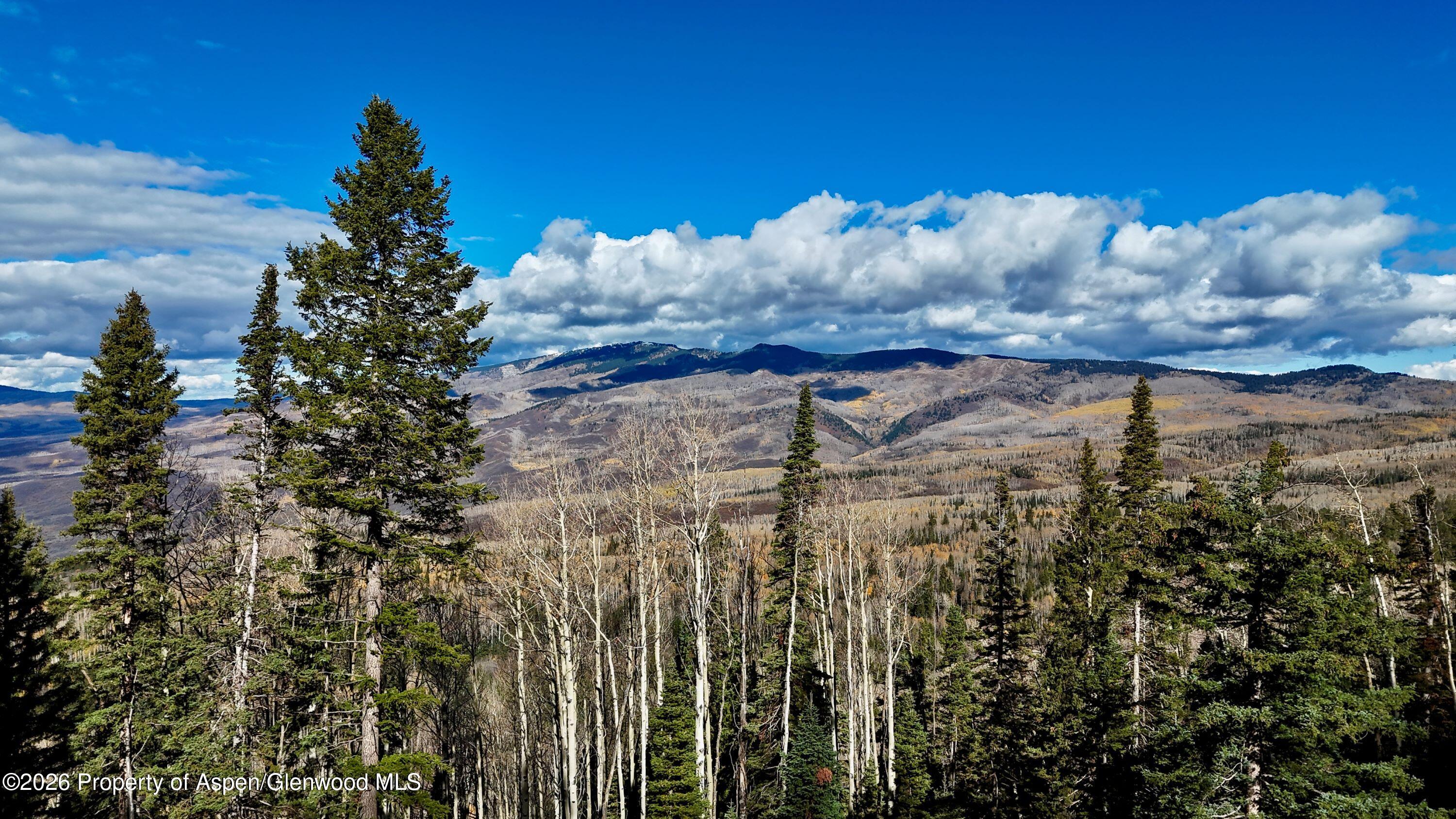 1901 Ragged Mountain Reserve Road Somerset CO 81434