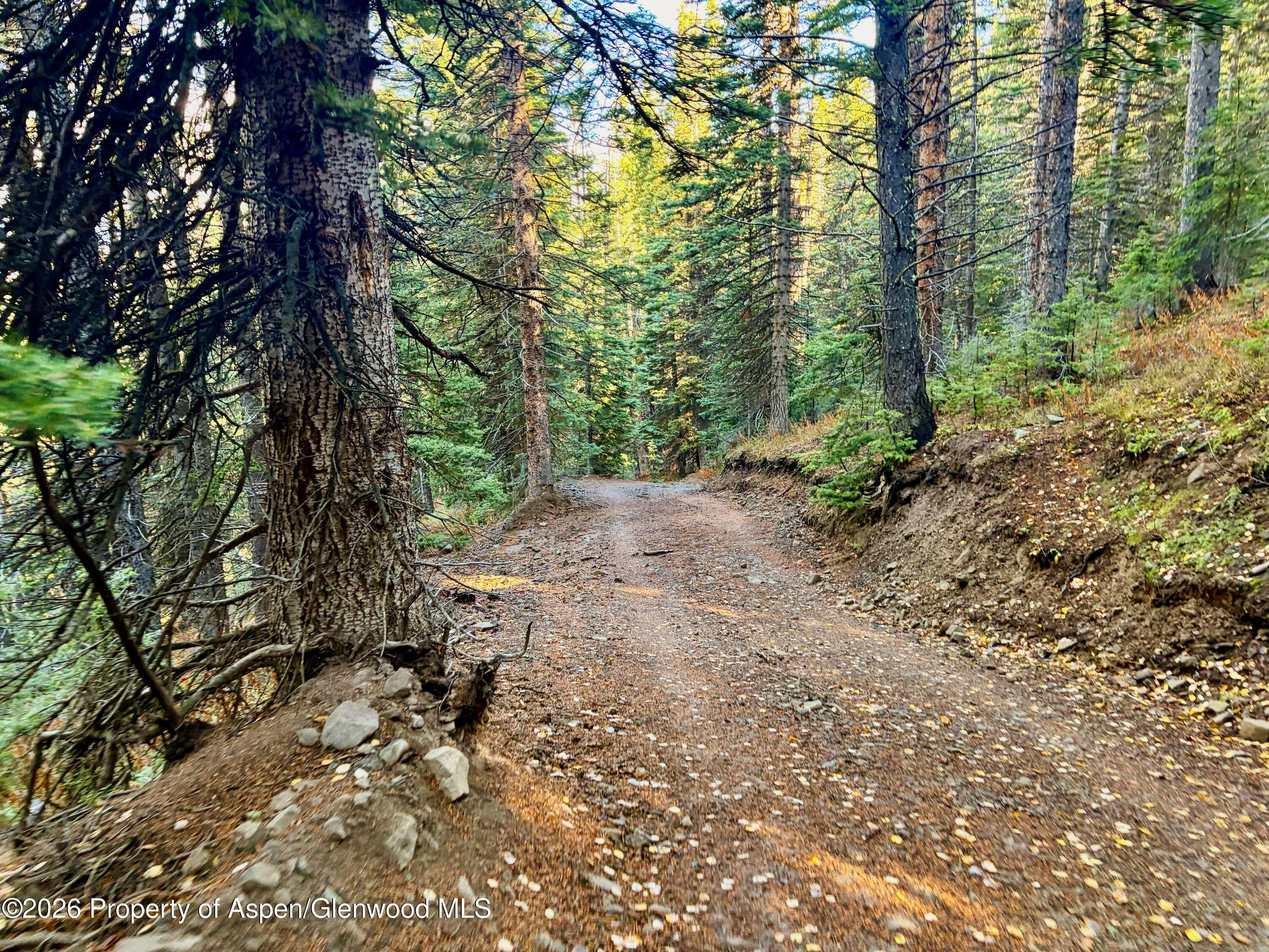 1901 Ragged Mountain Reserve Road Somerset CO 81434