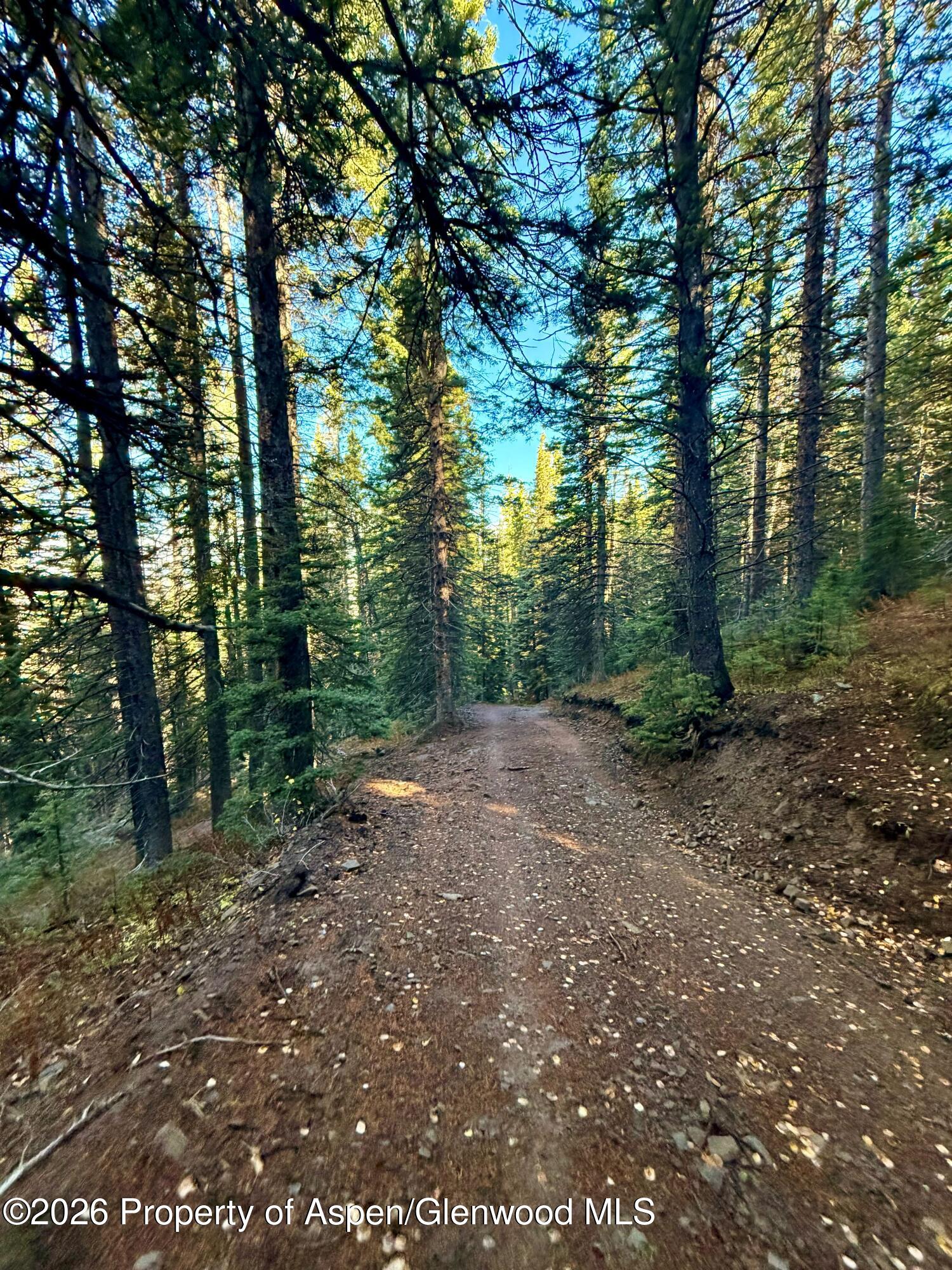 1901 Ragged Mountain Reserve Road Somerset CO 81434