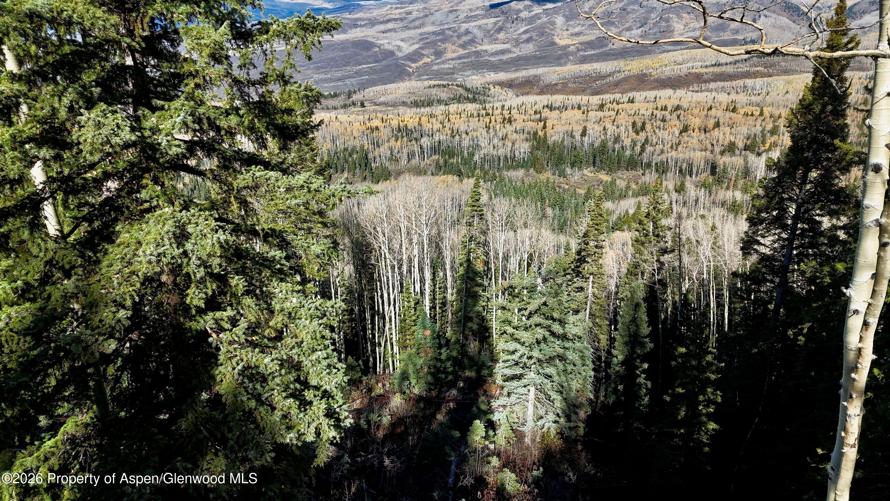 1901 Ragged Mountain Reserve Road Somerset CO 81434