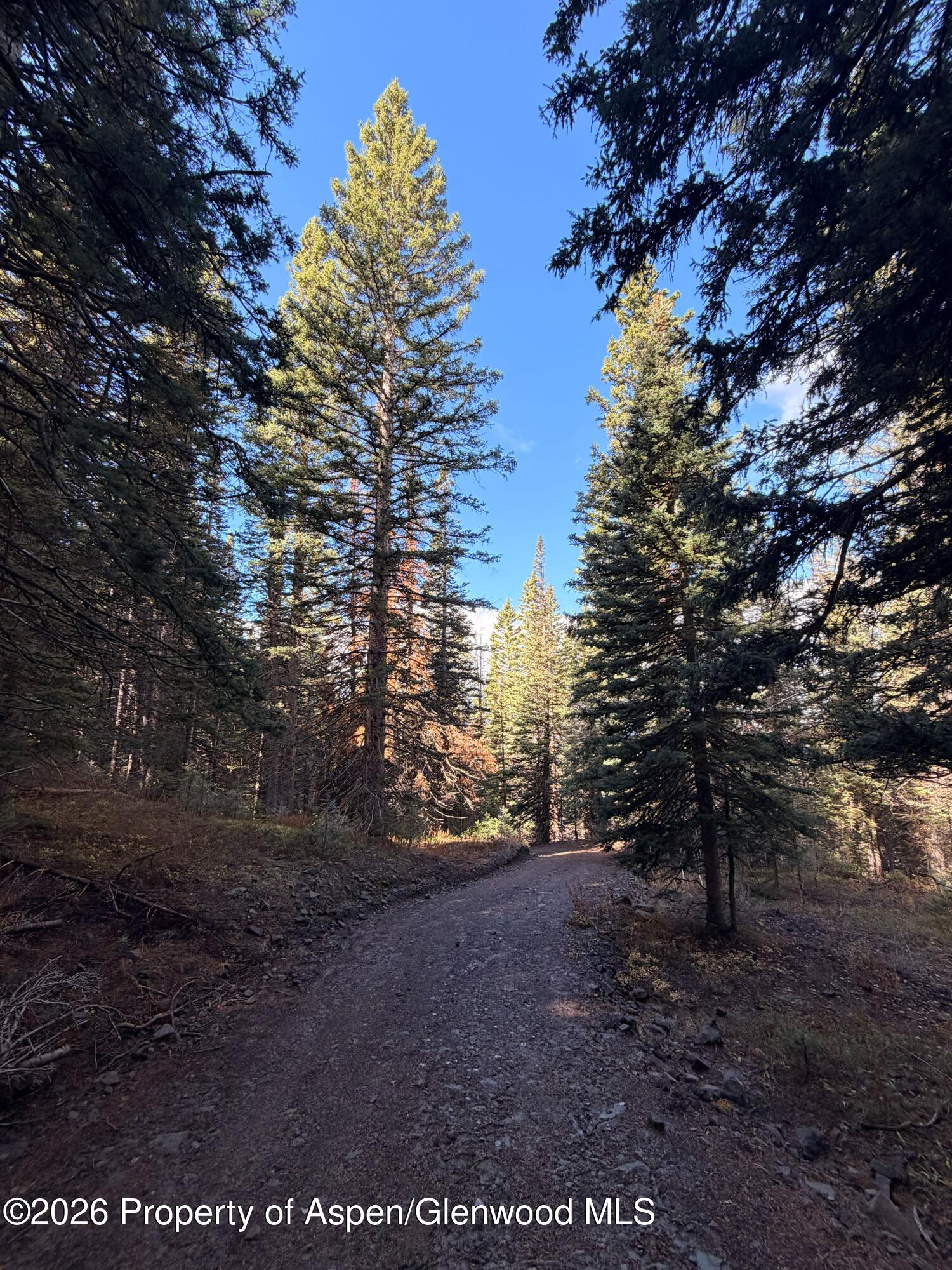 1901 Ragged Mountain Reserve Road Somerset CO 81434