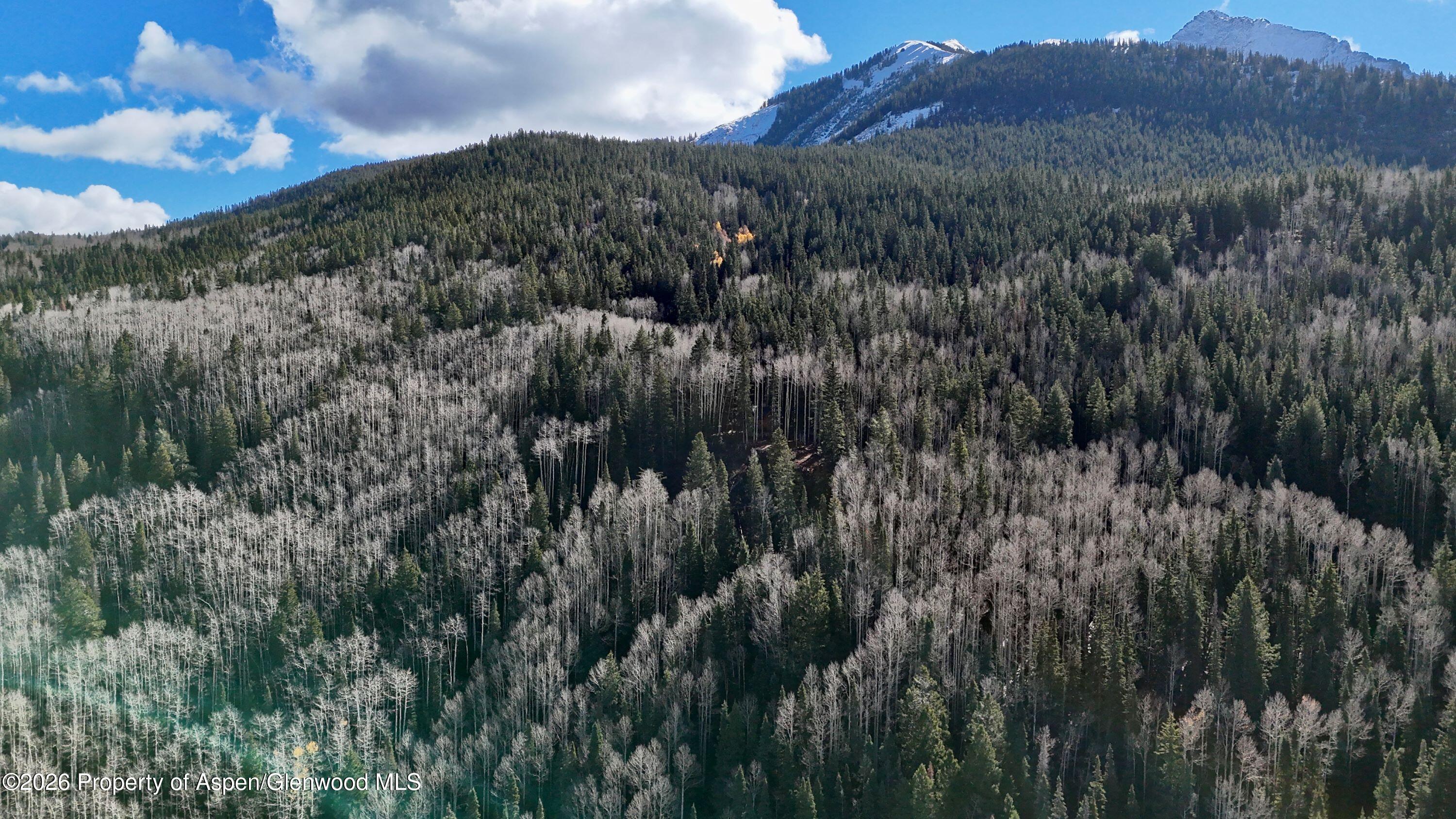 1901 Ragged Mountain Reserve Road Somerset CO 81434