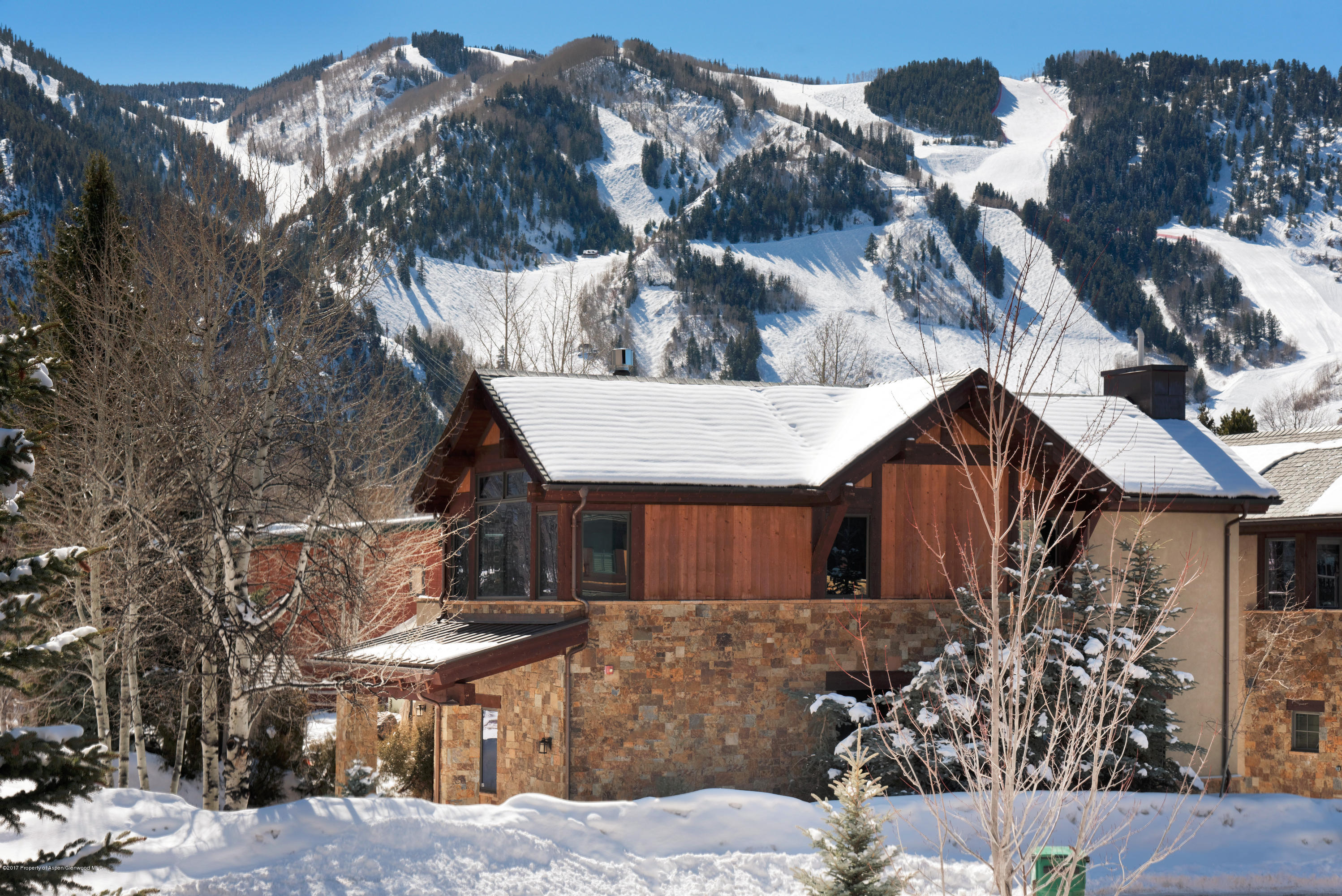 566 Race Street Aspen CO 81611