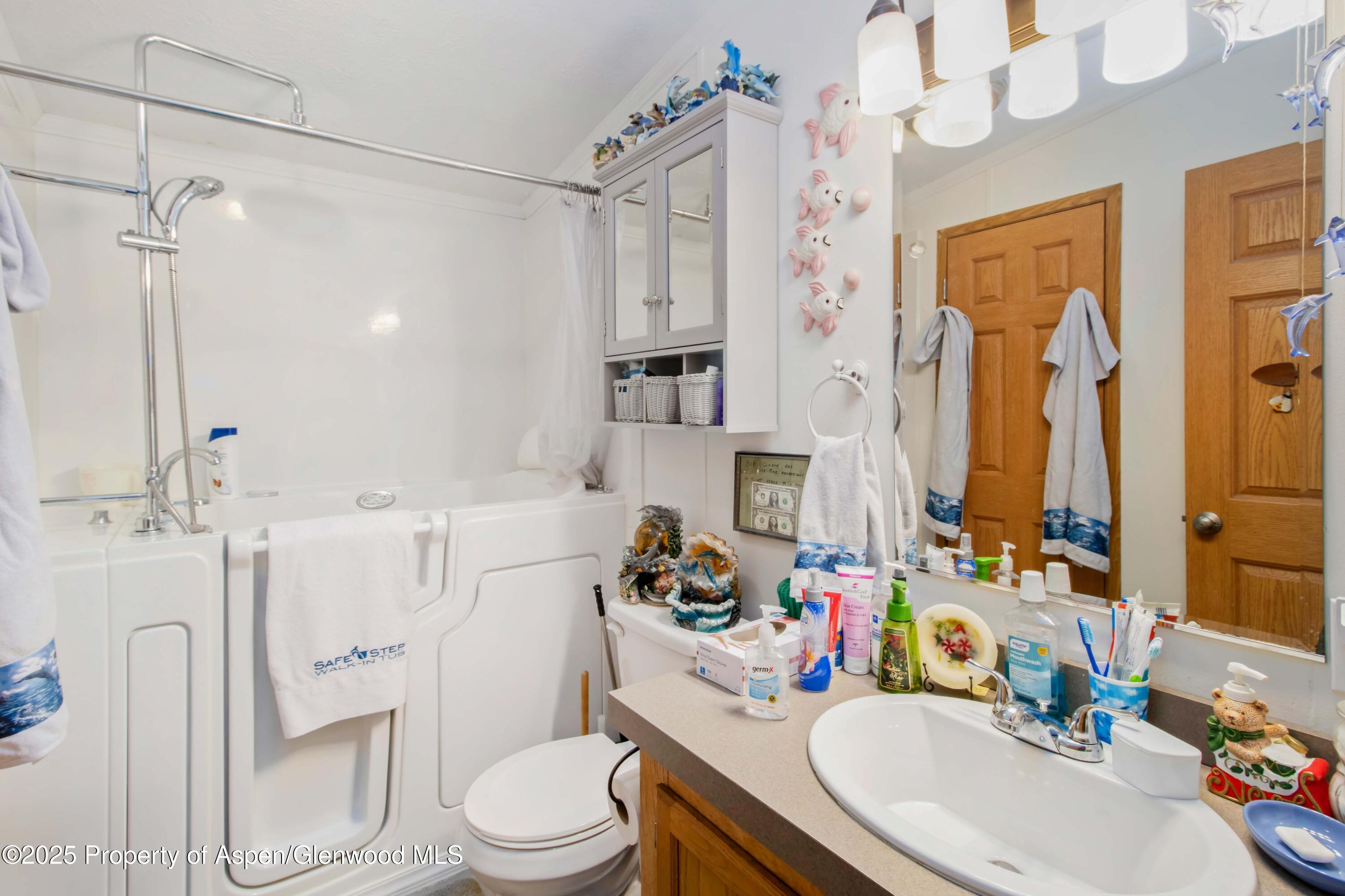 17 Mineral Springs Circle Parachute CO 81635