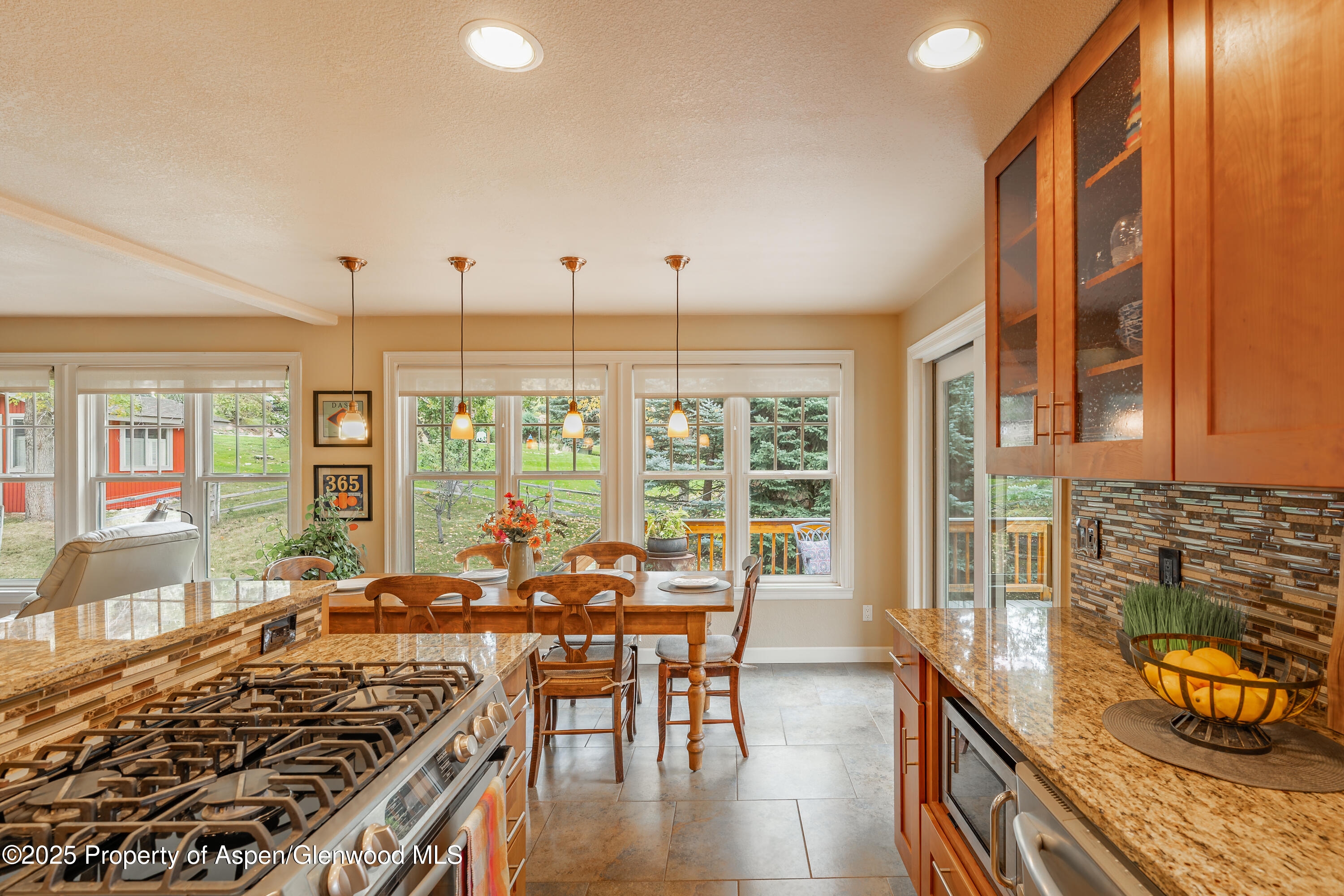 505 W Princeton Circle Glenwood Springs CO 81601