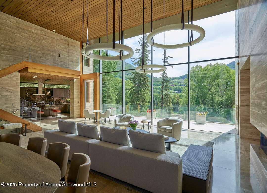 102 Wood Duck Lane Aspen CO 81611