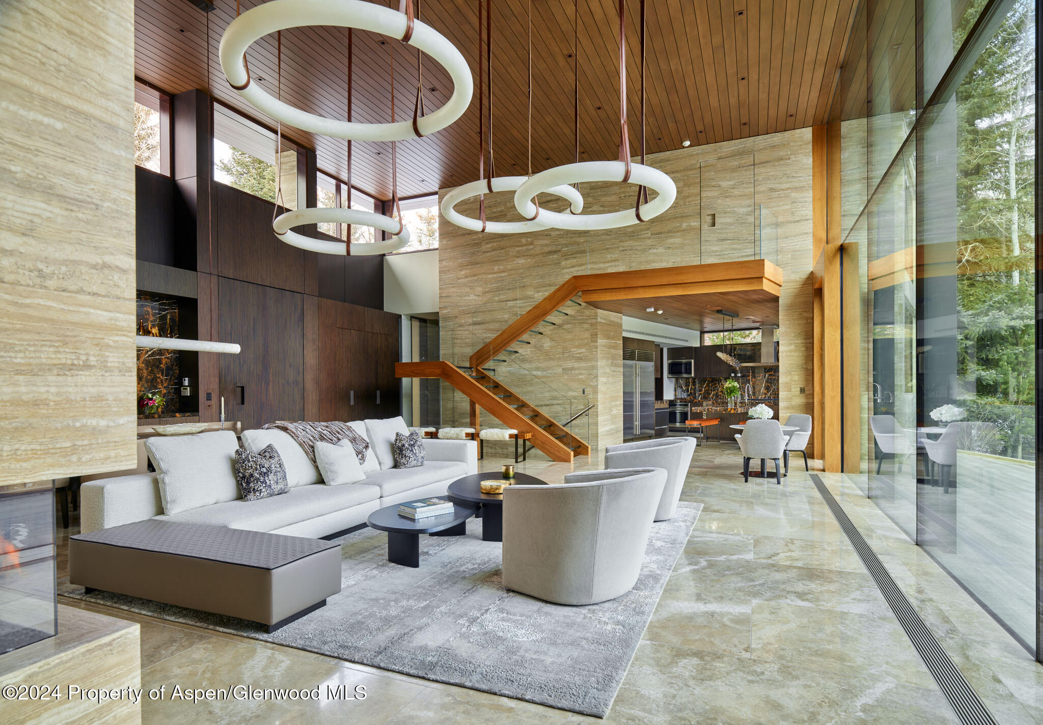 102 Wood Duck Lane Aspen CO 81611