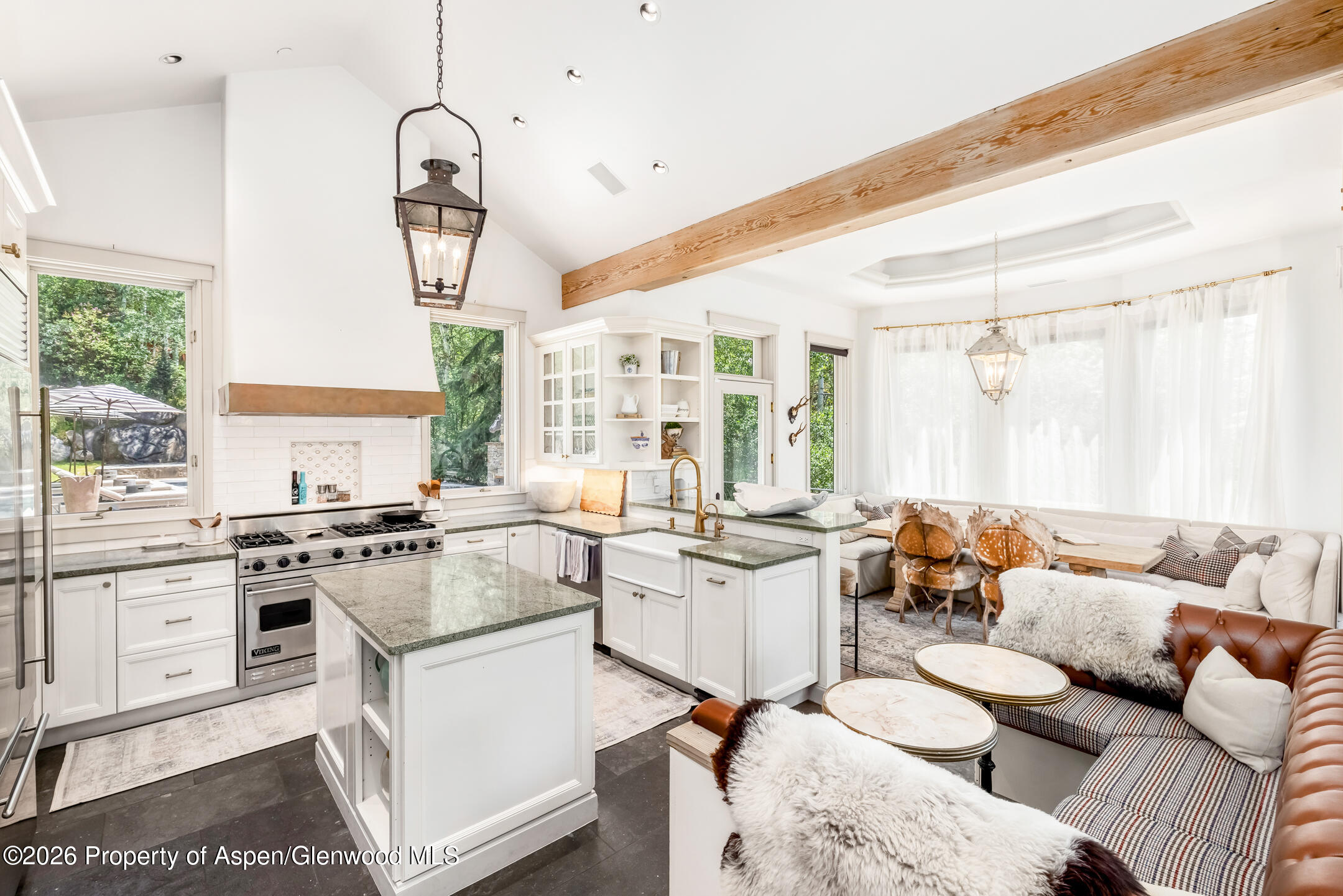 153 W Lupine Drive Aspen CO 81611