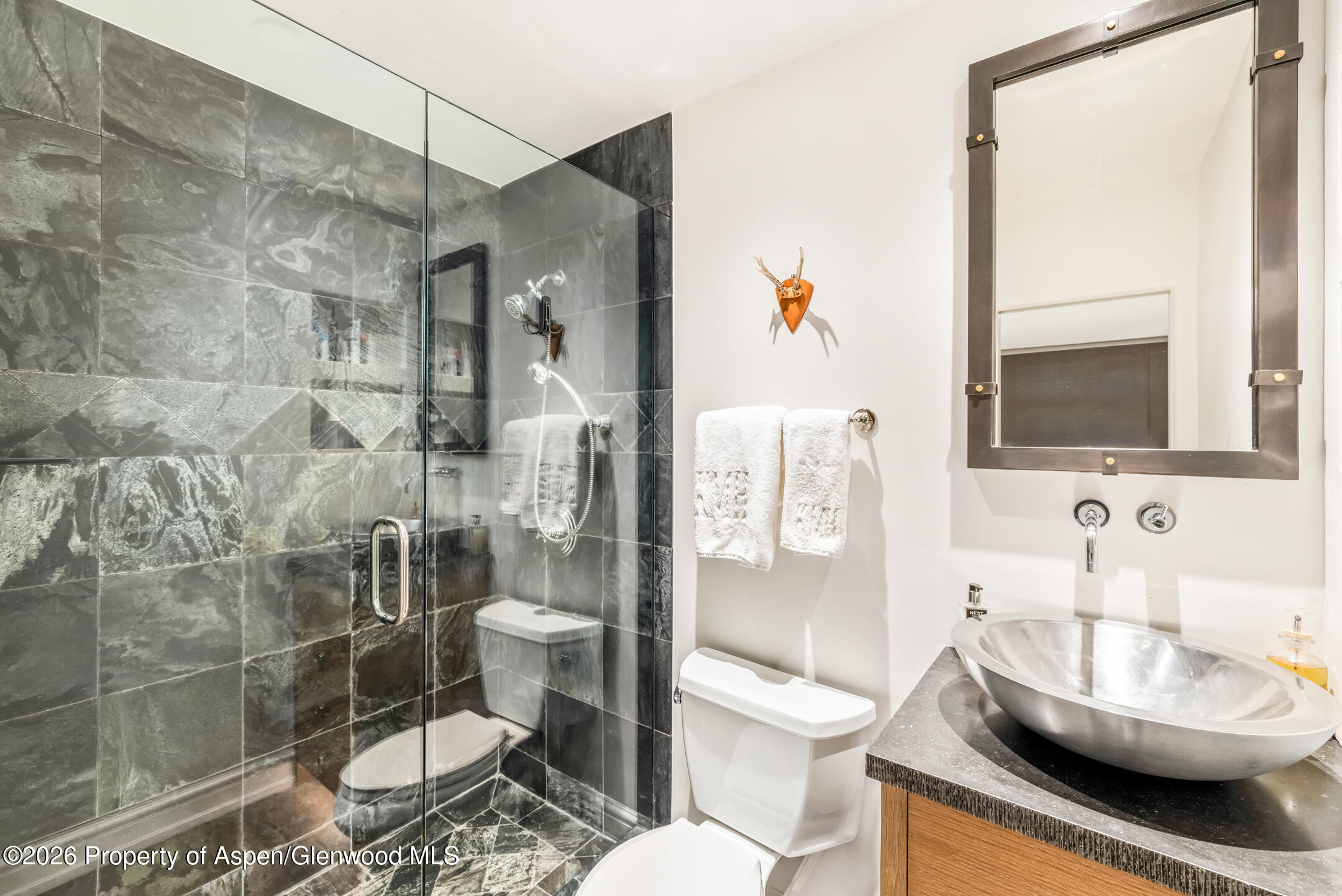 153 W Lupine Drive Aspen CO 81611