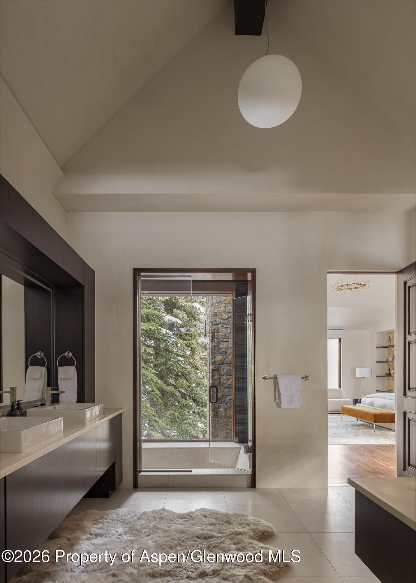 1011 Ute Avenue Aspen CO 81611