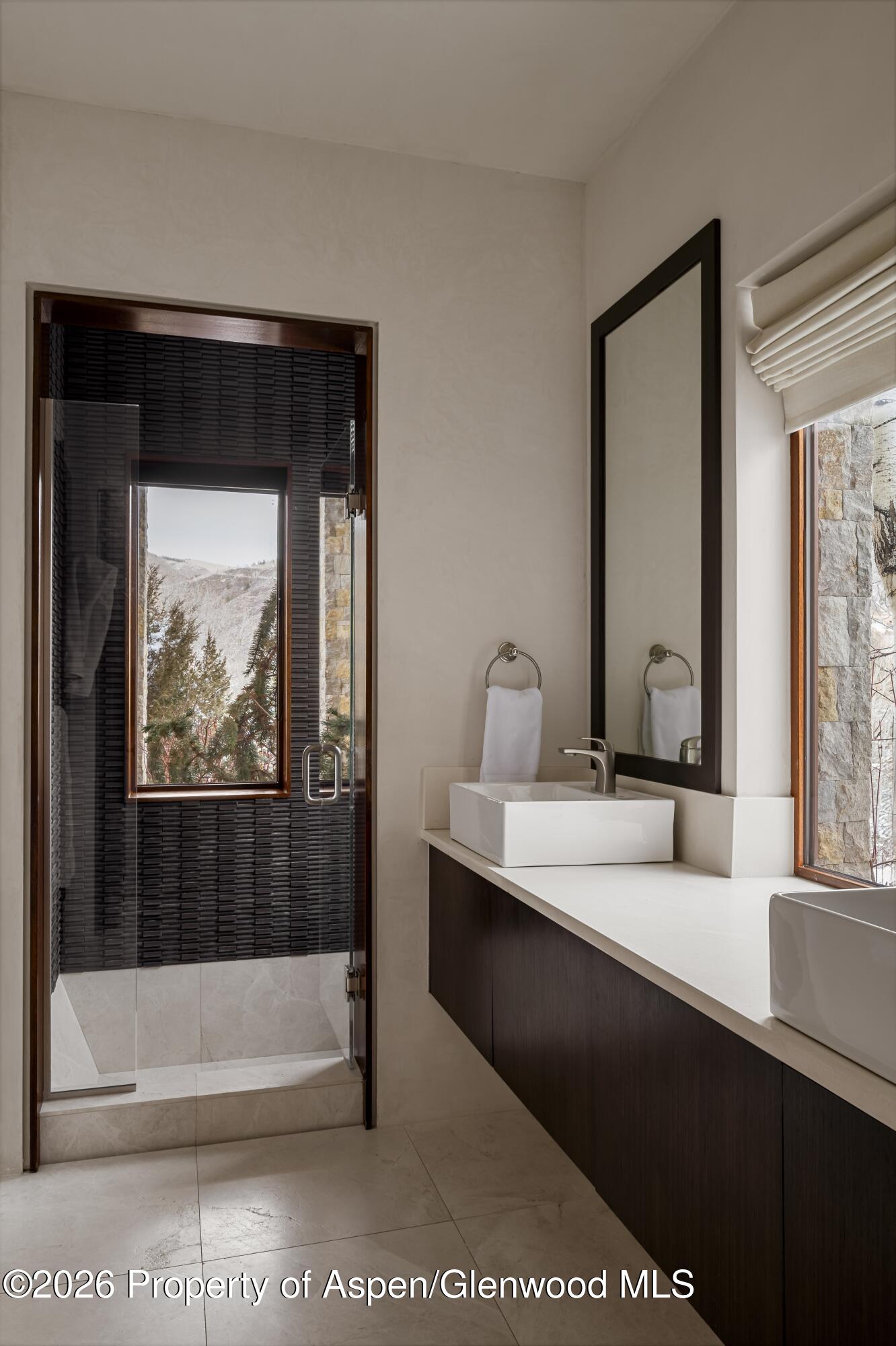 1011 Ute Avenue Aspen CO 81611