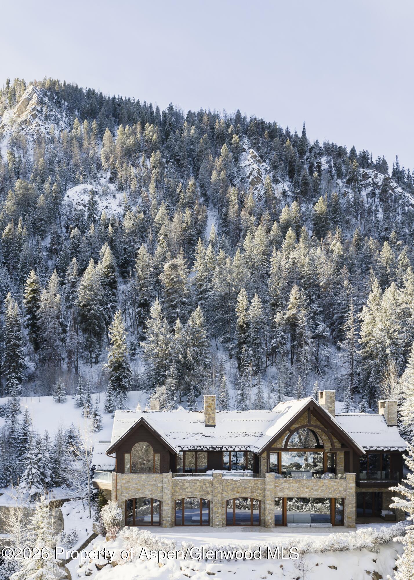 1011 Ute Avenue Aspen CO 81611