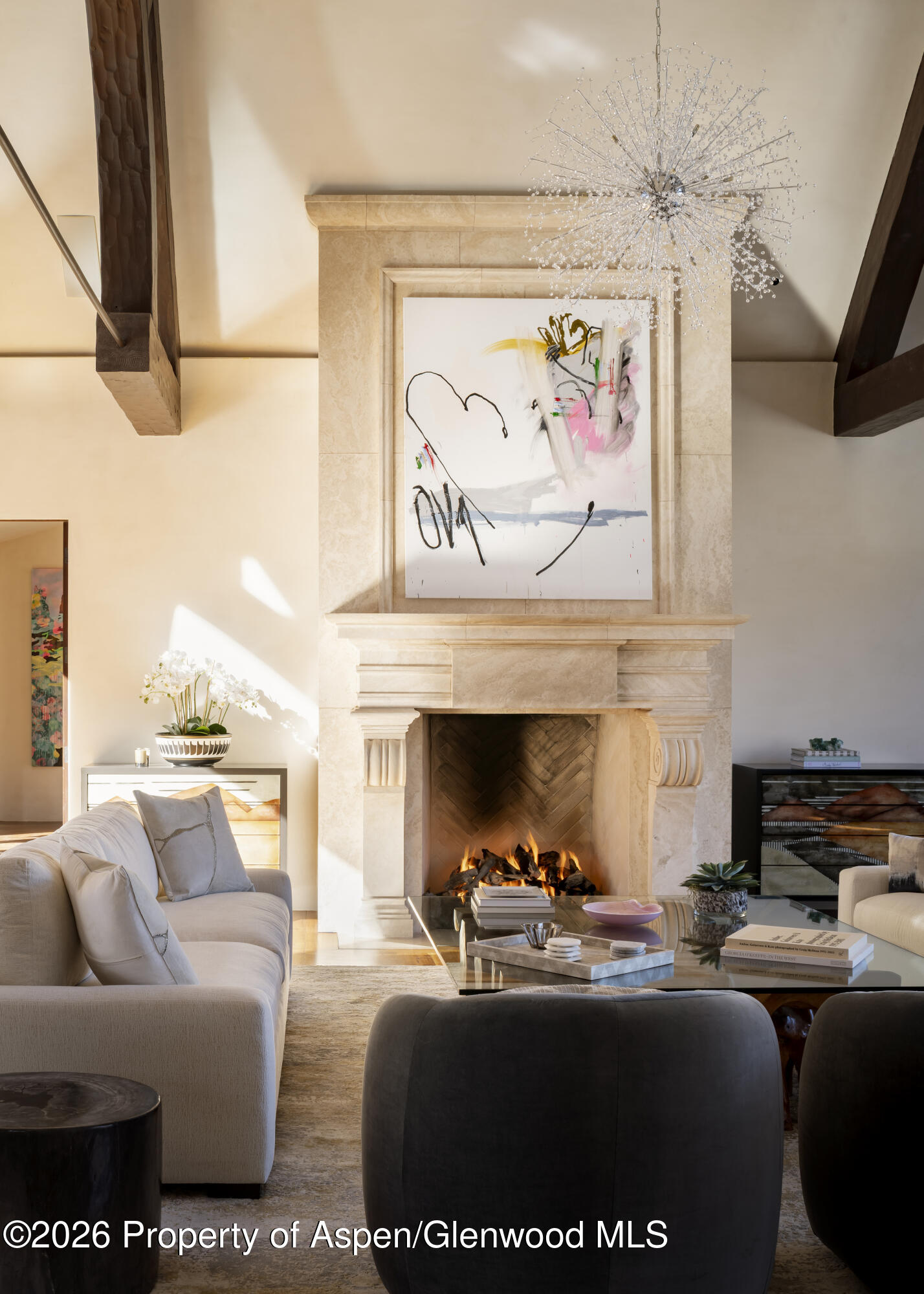 1011 Ute Avenue Aspen CO 81611