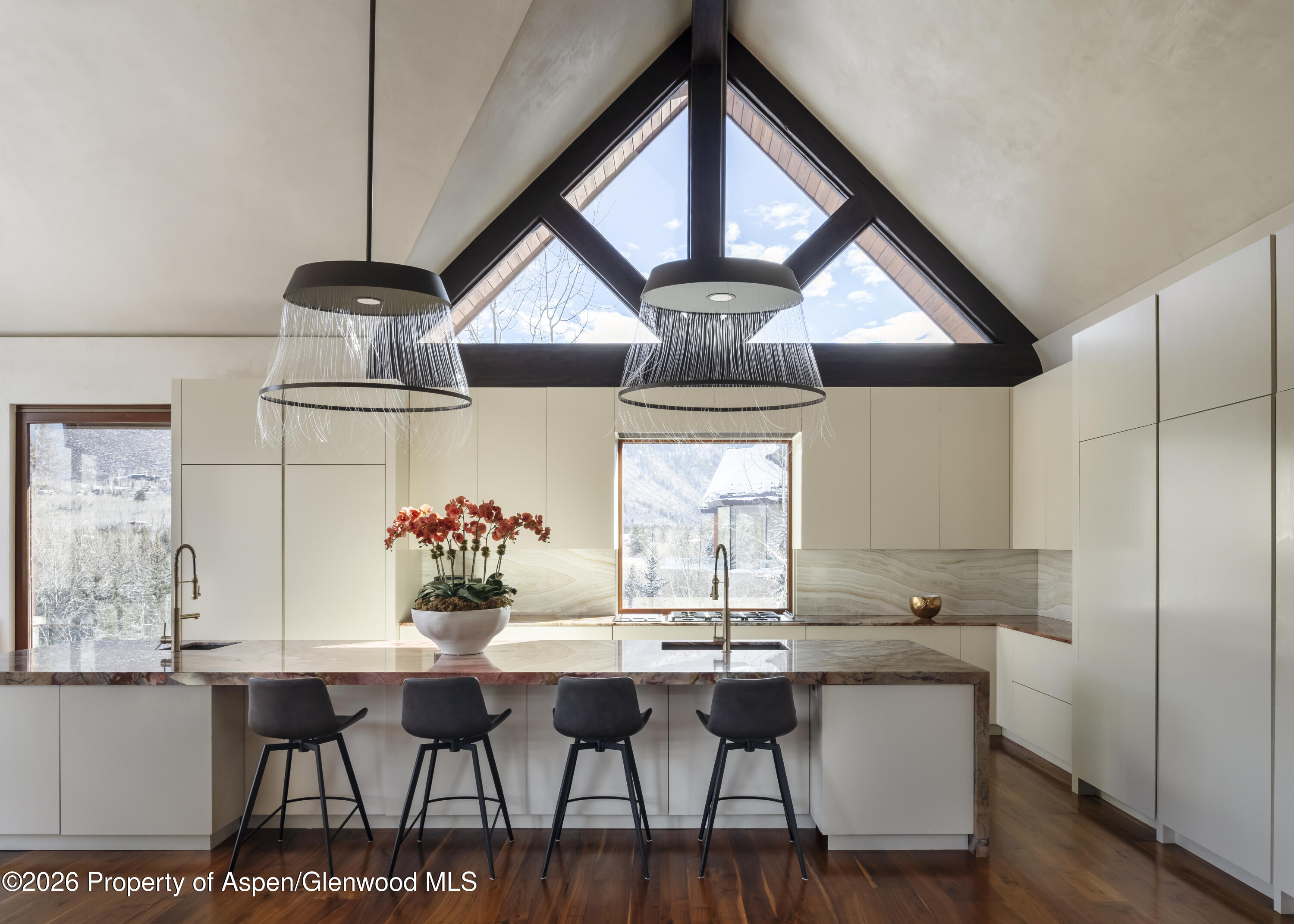 1011 Ute Avenue Aspen CO 81611