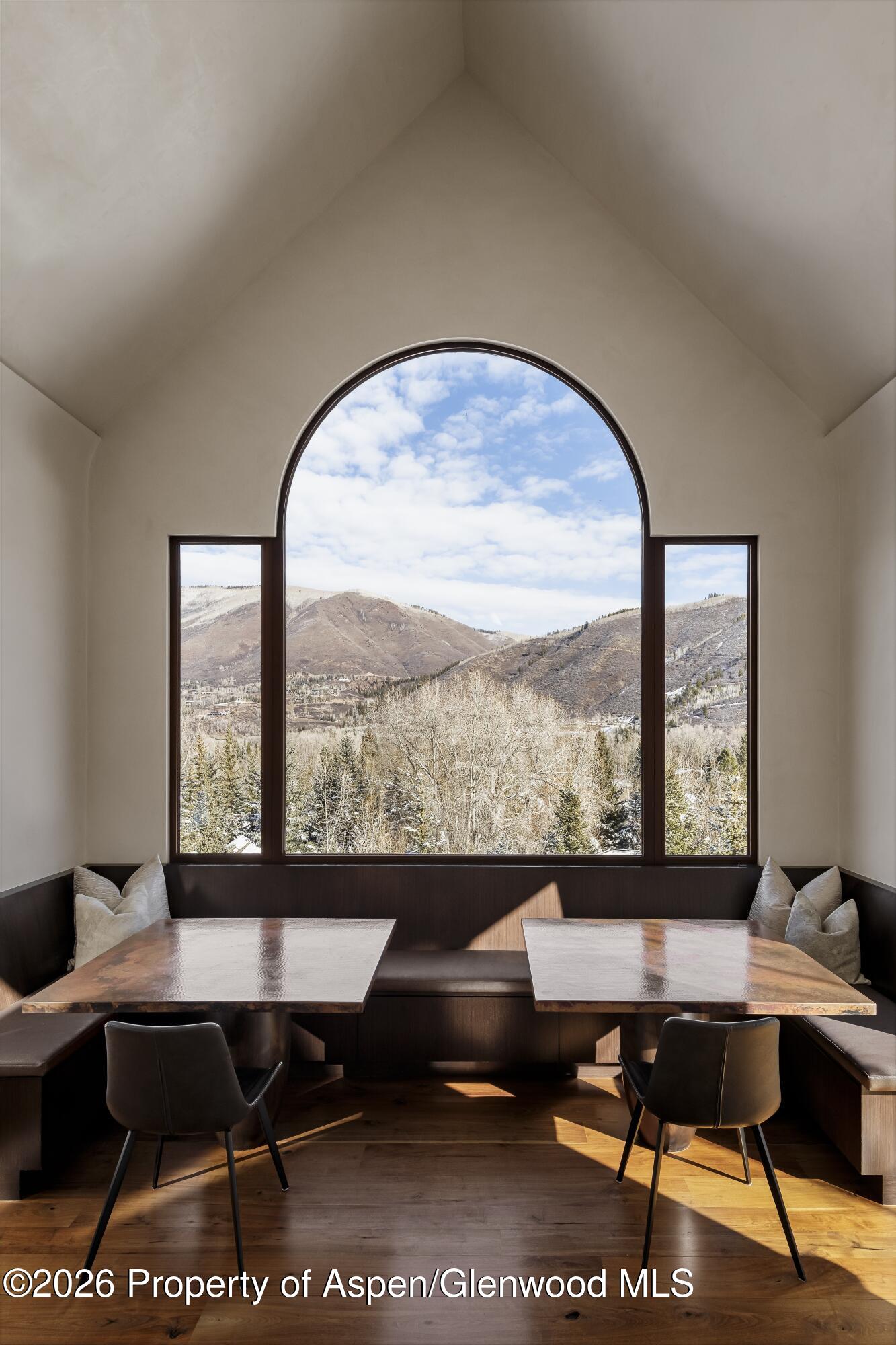 1011 Ute Avenue Aspen CO 81611