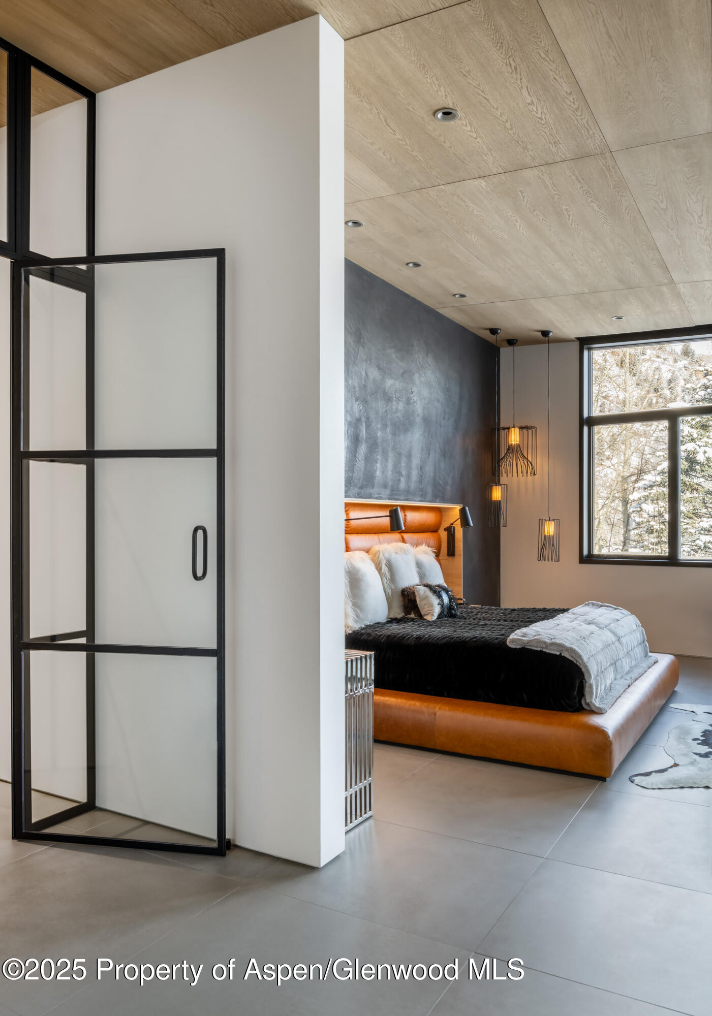 296 Glen Dee Road Aspen CO 81611