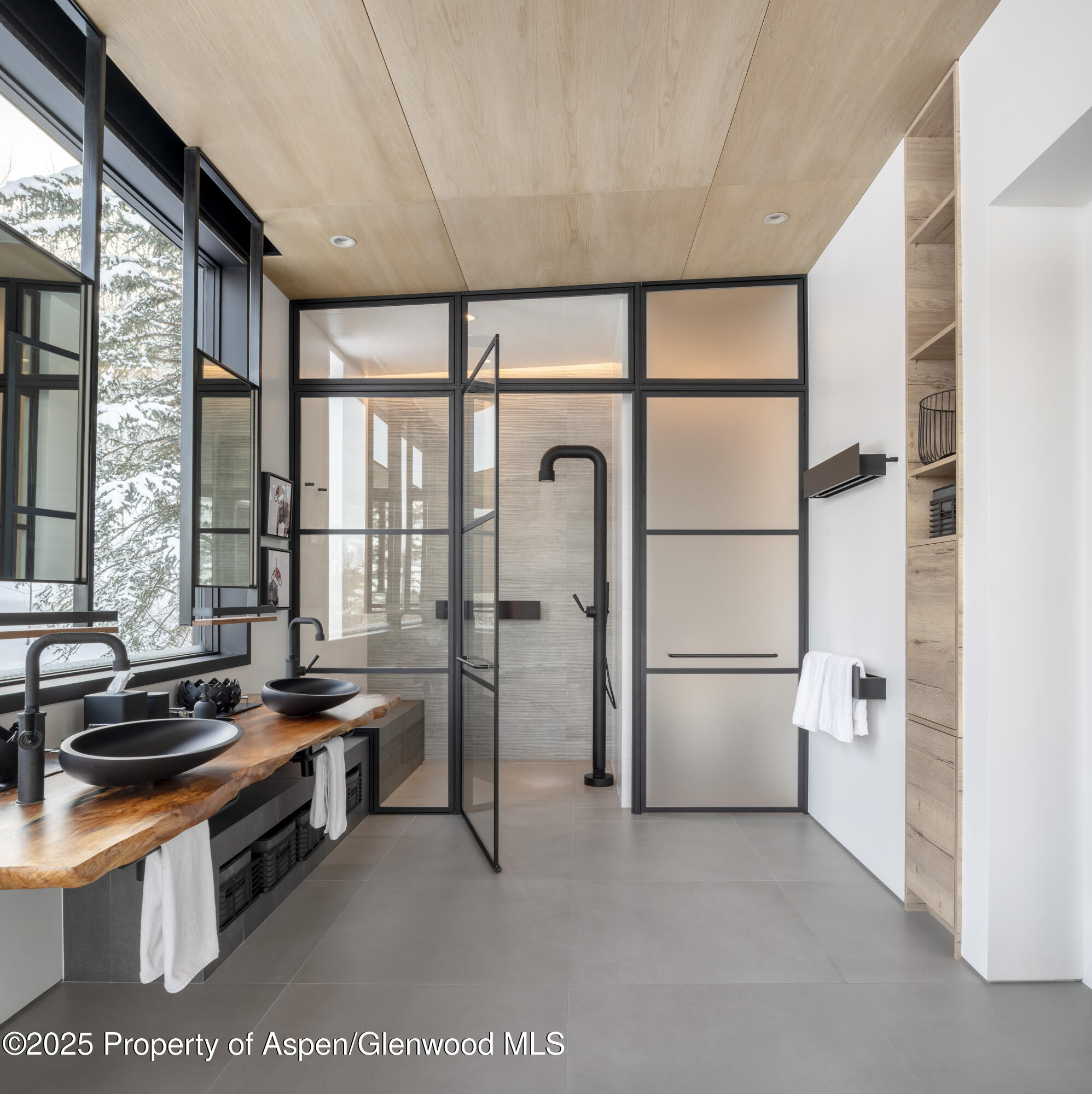 296 Glen Dee Road Aspen CO 81611