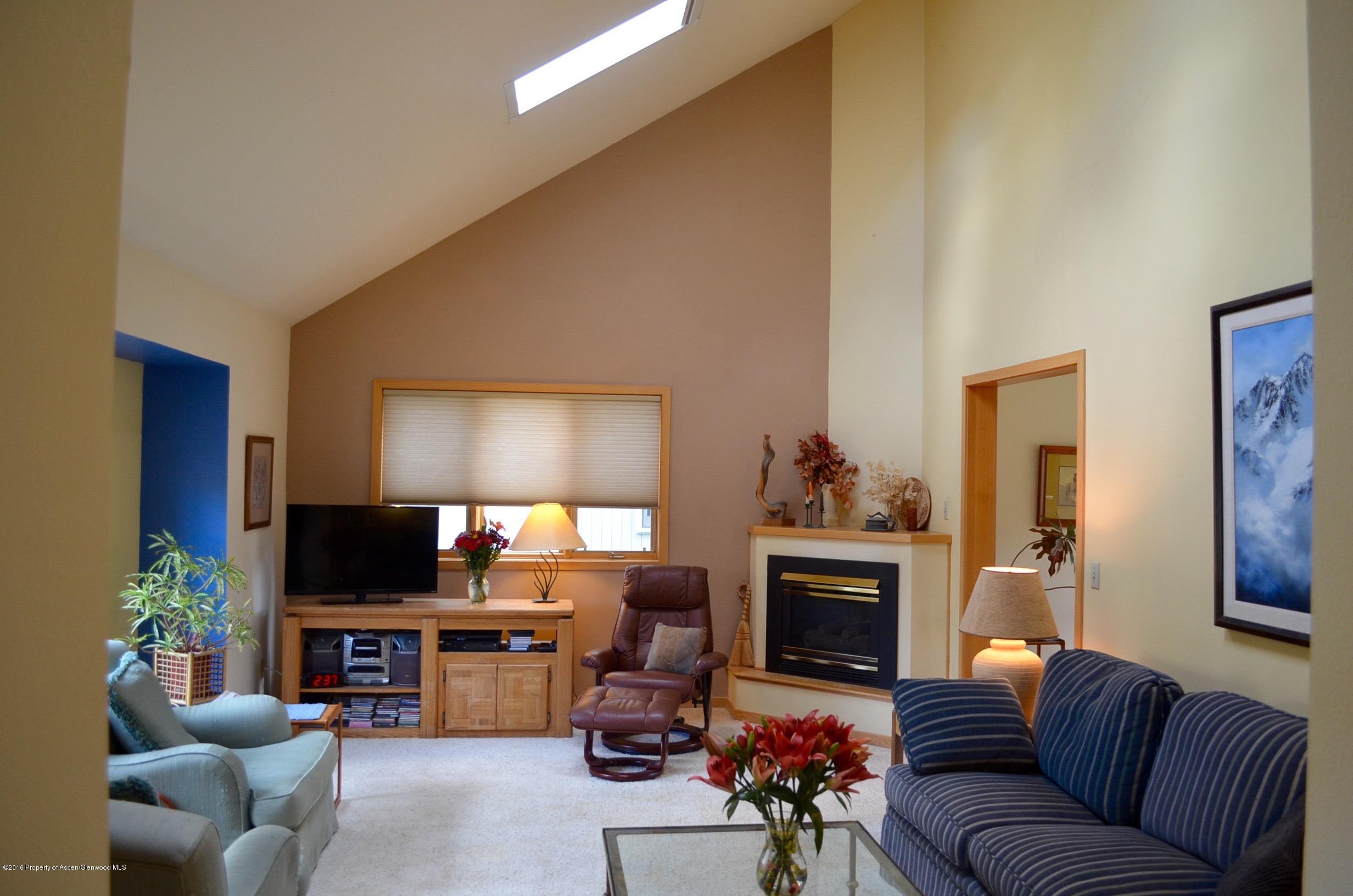 1369 Rock Court Carbondale CO 81623