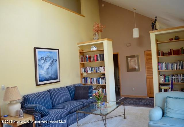 1369 Rock Court Carbondale CO 81623