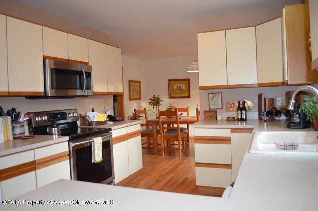 1369 Rock Court Carbondale CO 81623